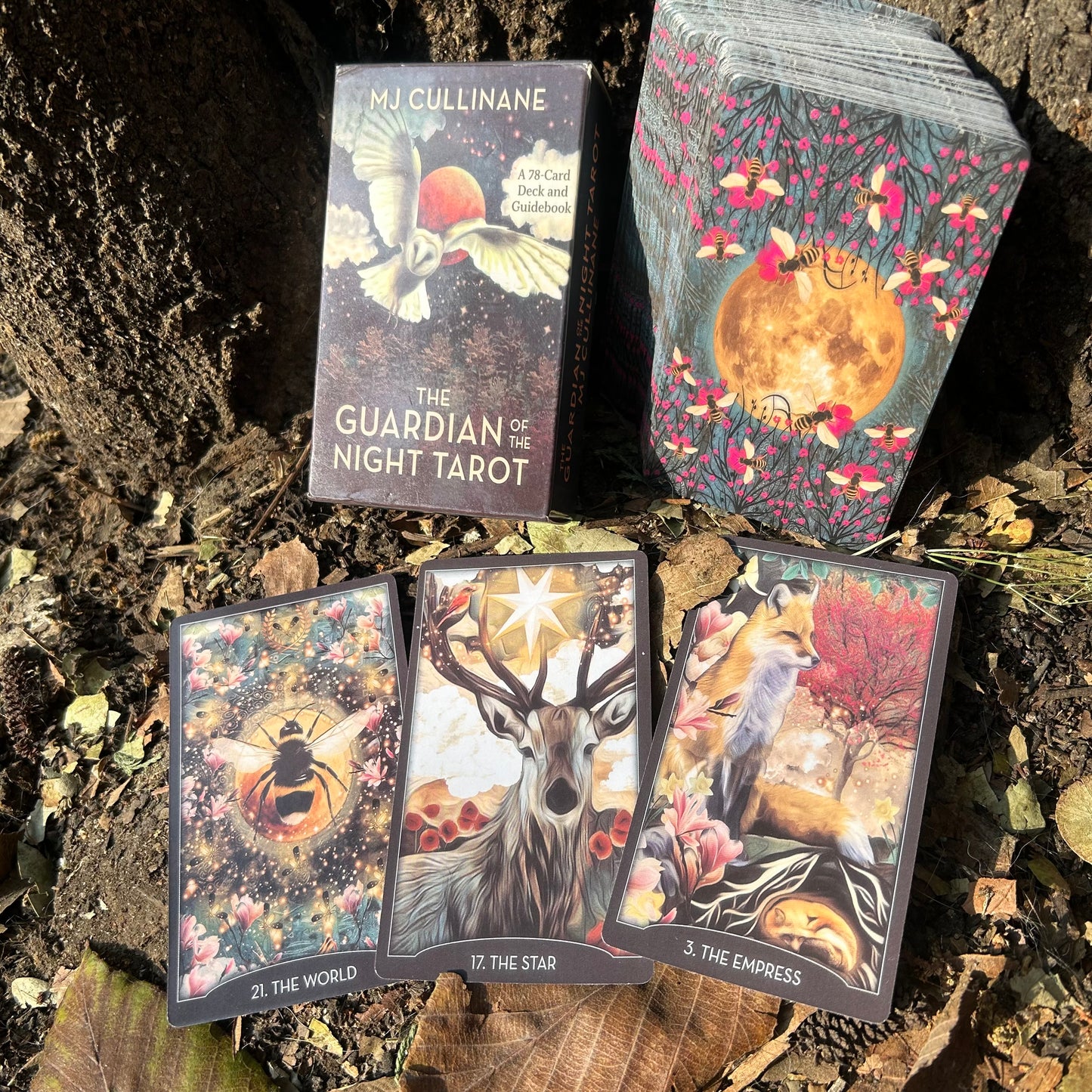 TAROT ESPECIALES