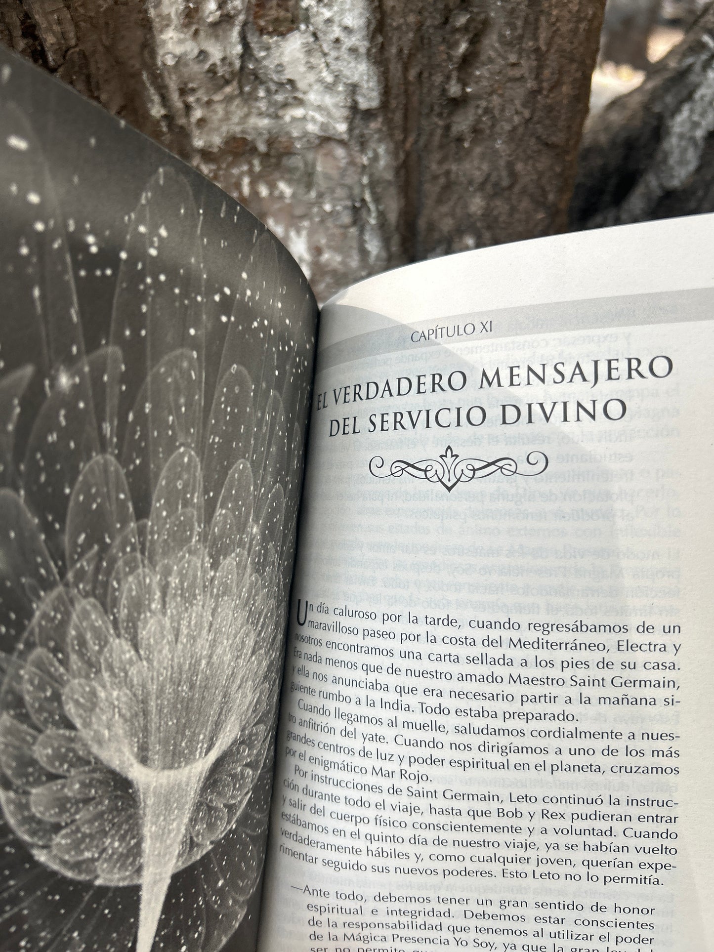 YO SOY MAGIA PRESENCIA