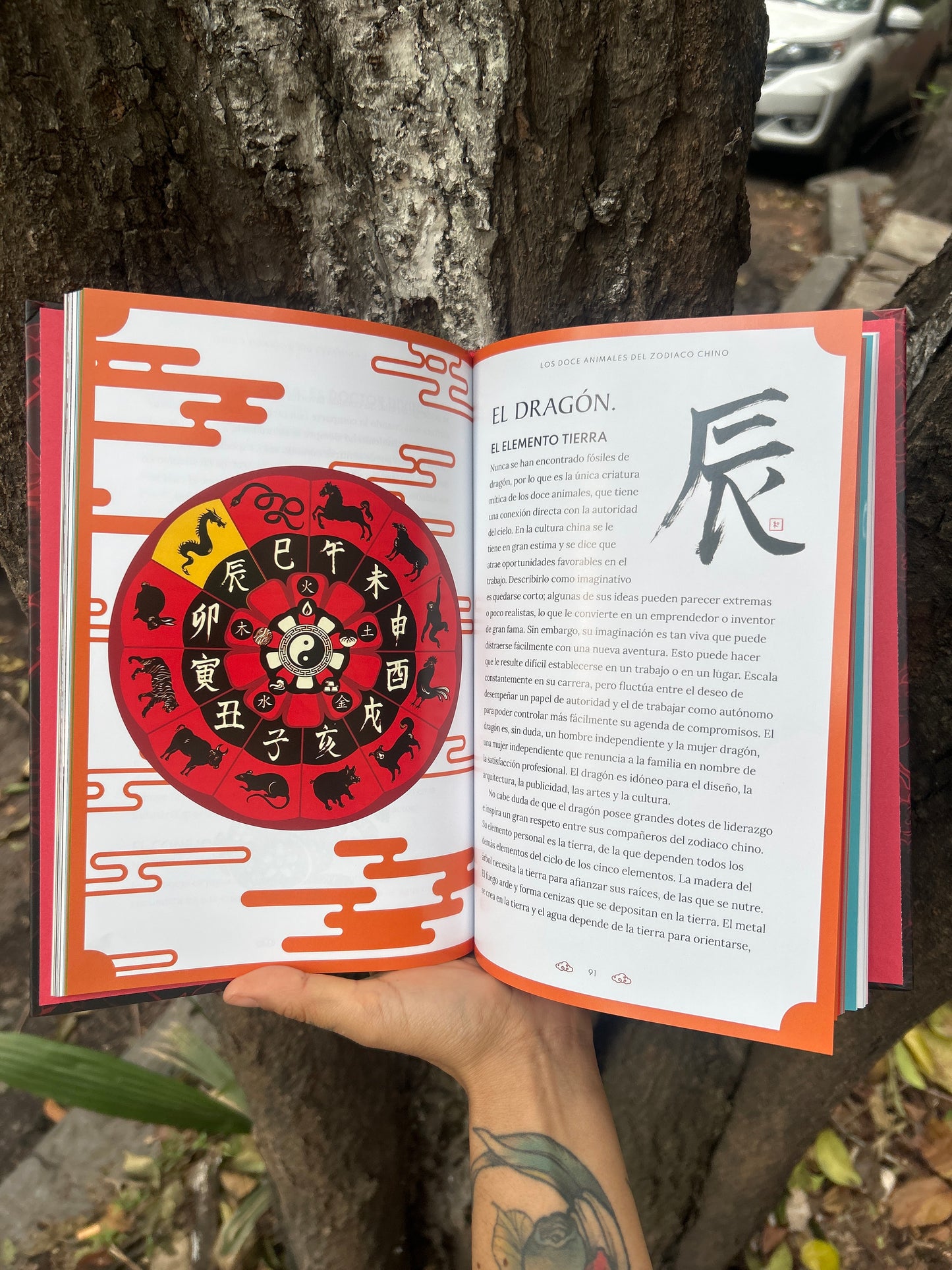 ASTROLOGÍA CHINA ILUSTRADO Máster Kay Tom