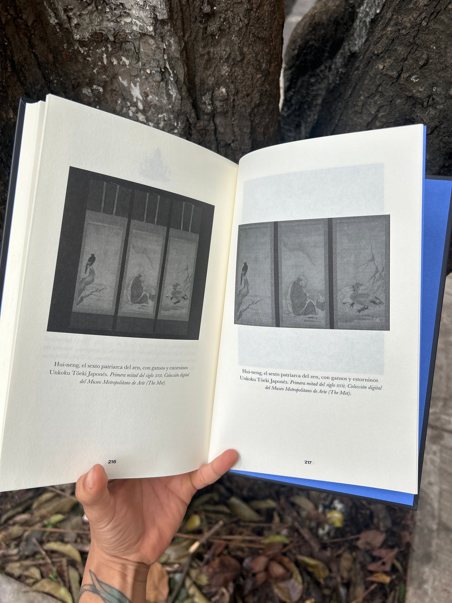 SUTRAS LAS ENSEÑANZAS DE BUDA