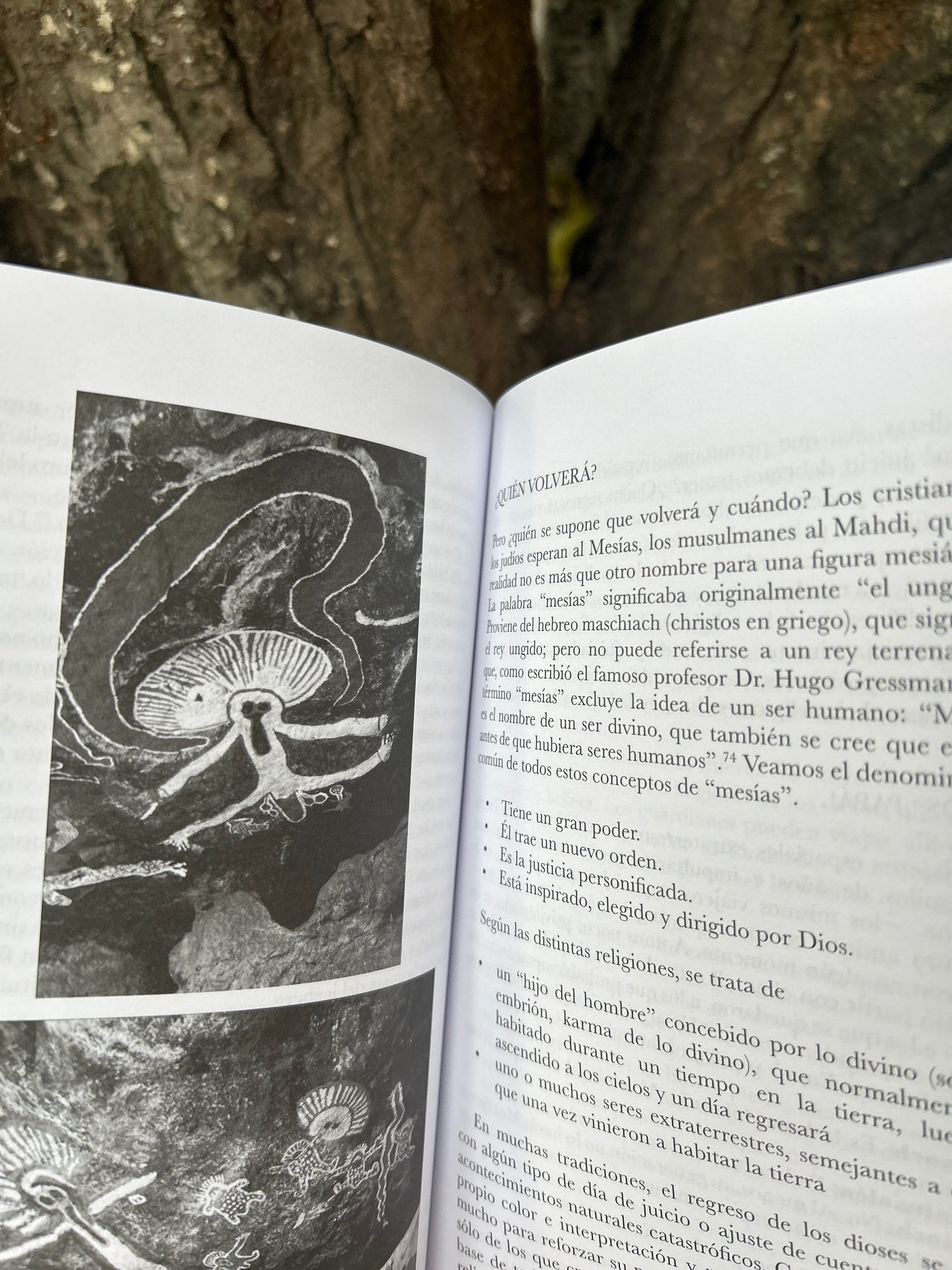 ENOCH RETORNO DE LOS DIOSES Erich von Däniken