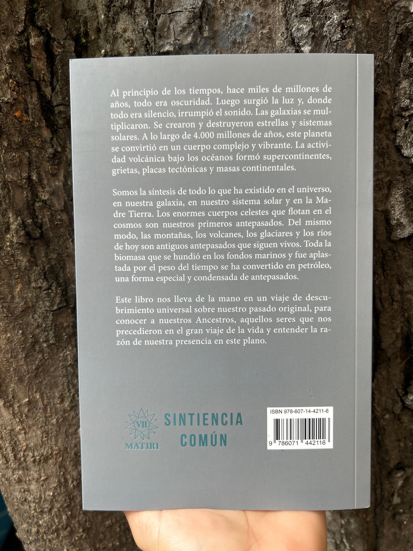 ANCESTROS Mindahi Bastida