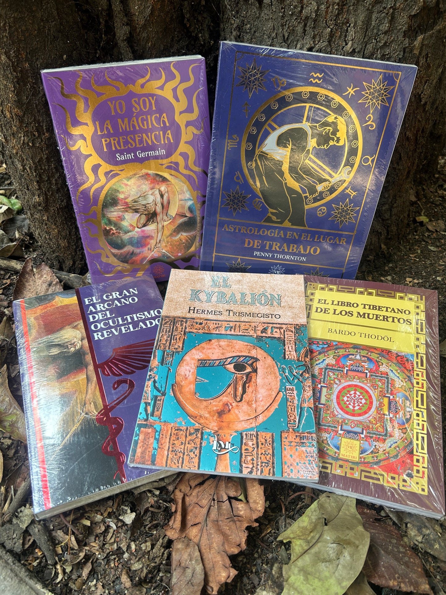 LIBROS MÁGICOS
