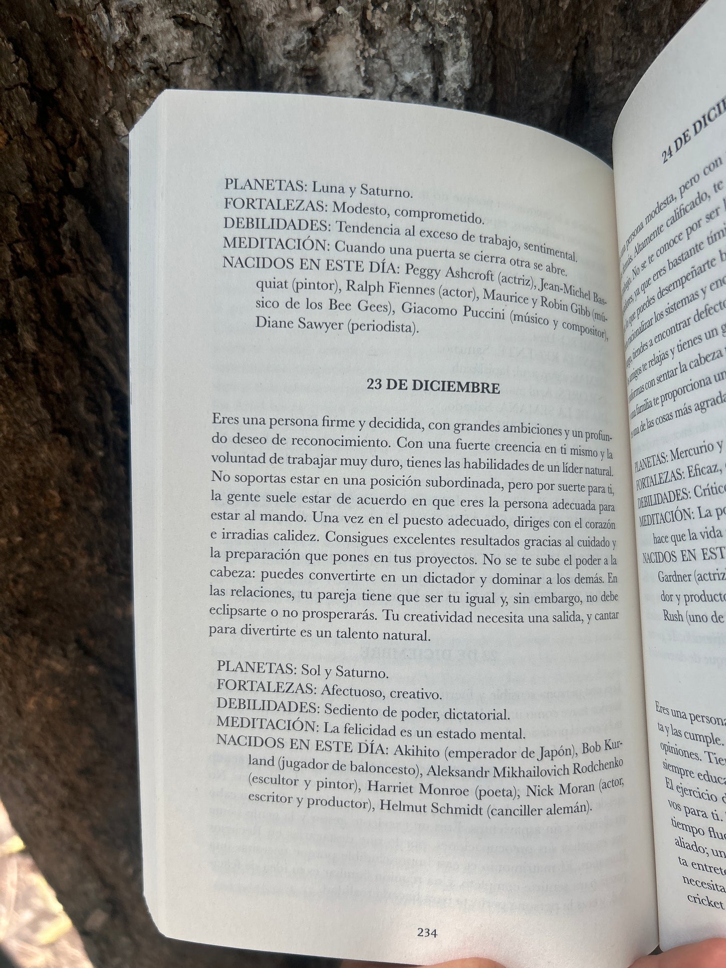 EL LIBRO DE LOS CUMPLEAÑOS Pam Carruthers