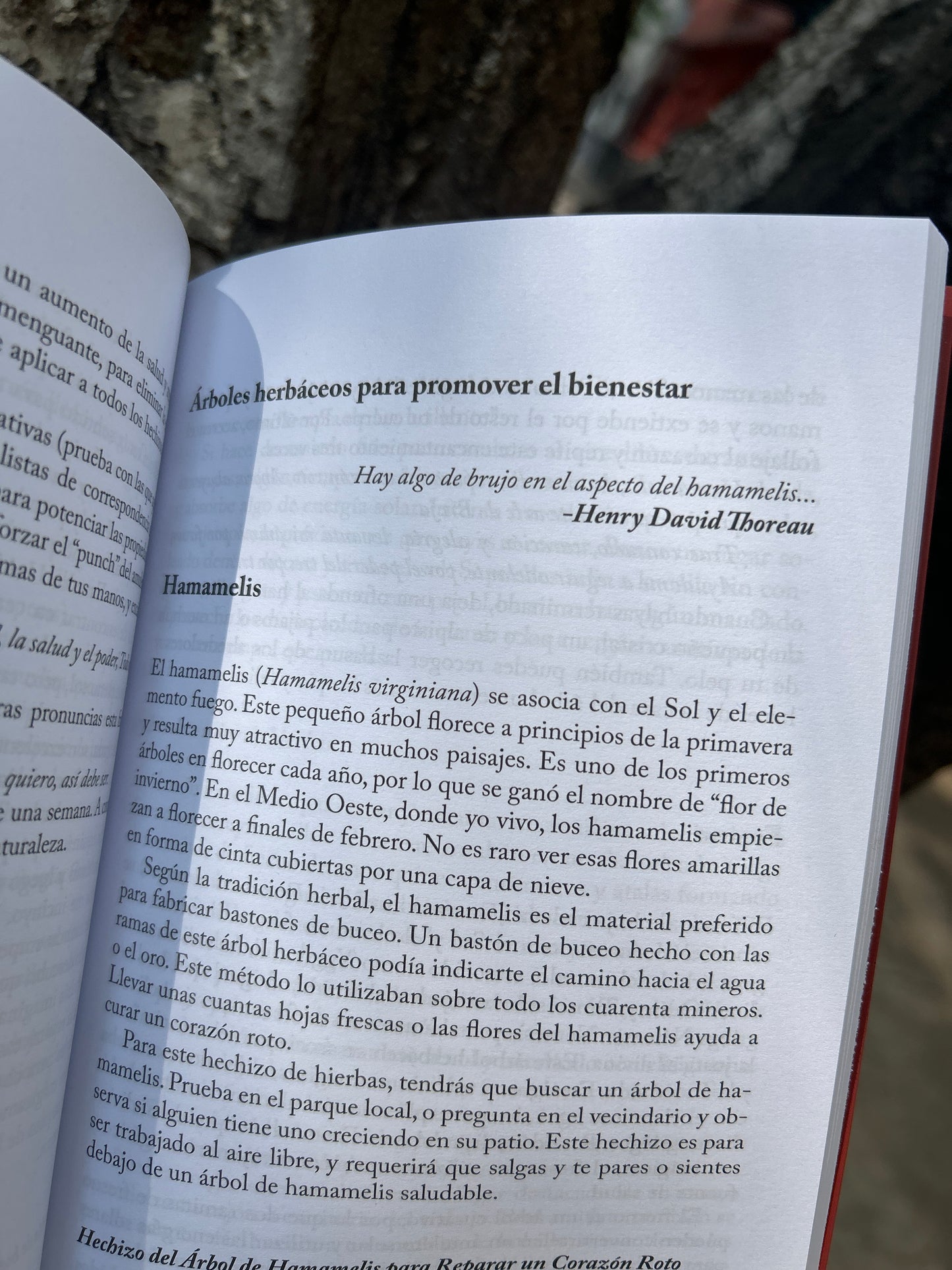 MAGIA CON HIERBAS Ellen Dugan