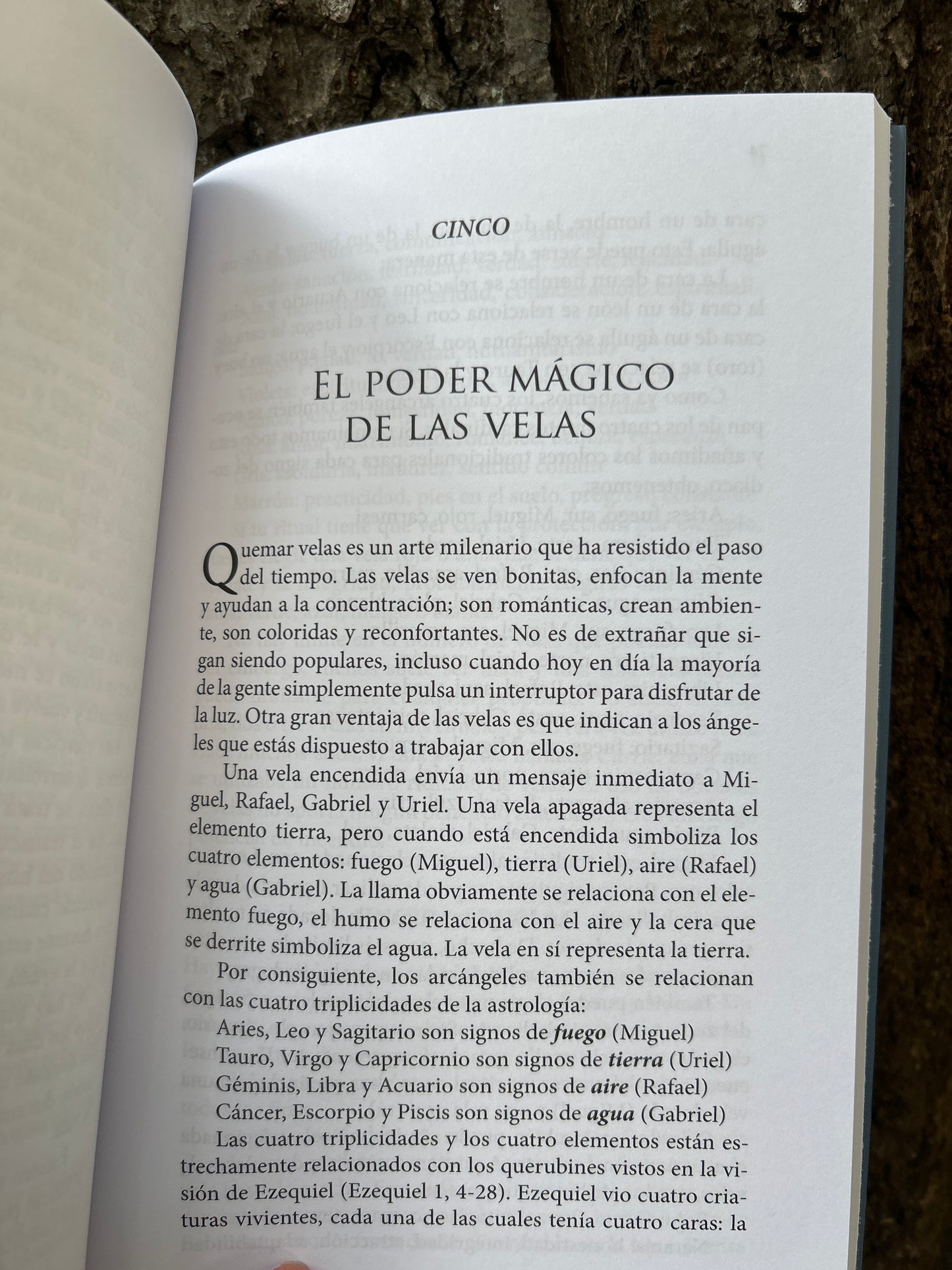 CÓMO COMUNICARSE CON EL ARCÁNGEL MIGUEL PARA GUÍA Y PROTECCIÓN Richard Webster