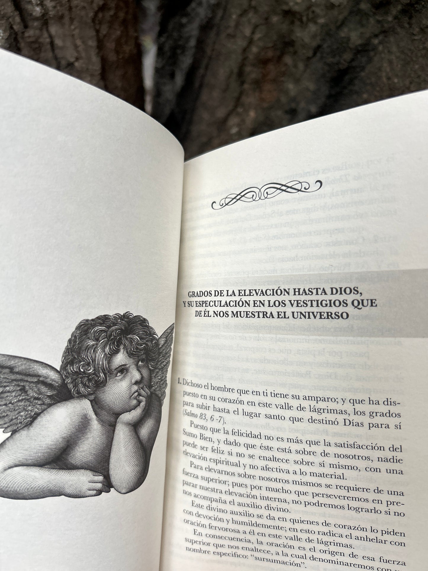 ITINERARIO DE LA MENTE HACIA DIOS SAN Buenaventura