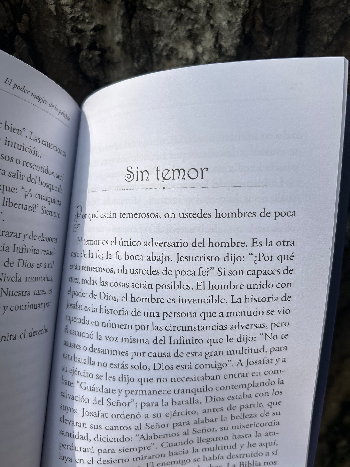 EL PODER MÁGICO DE LA PALABRA Florence Scovel Shinn