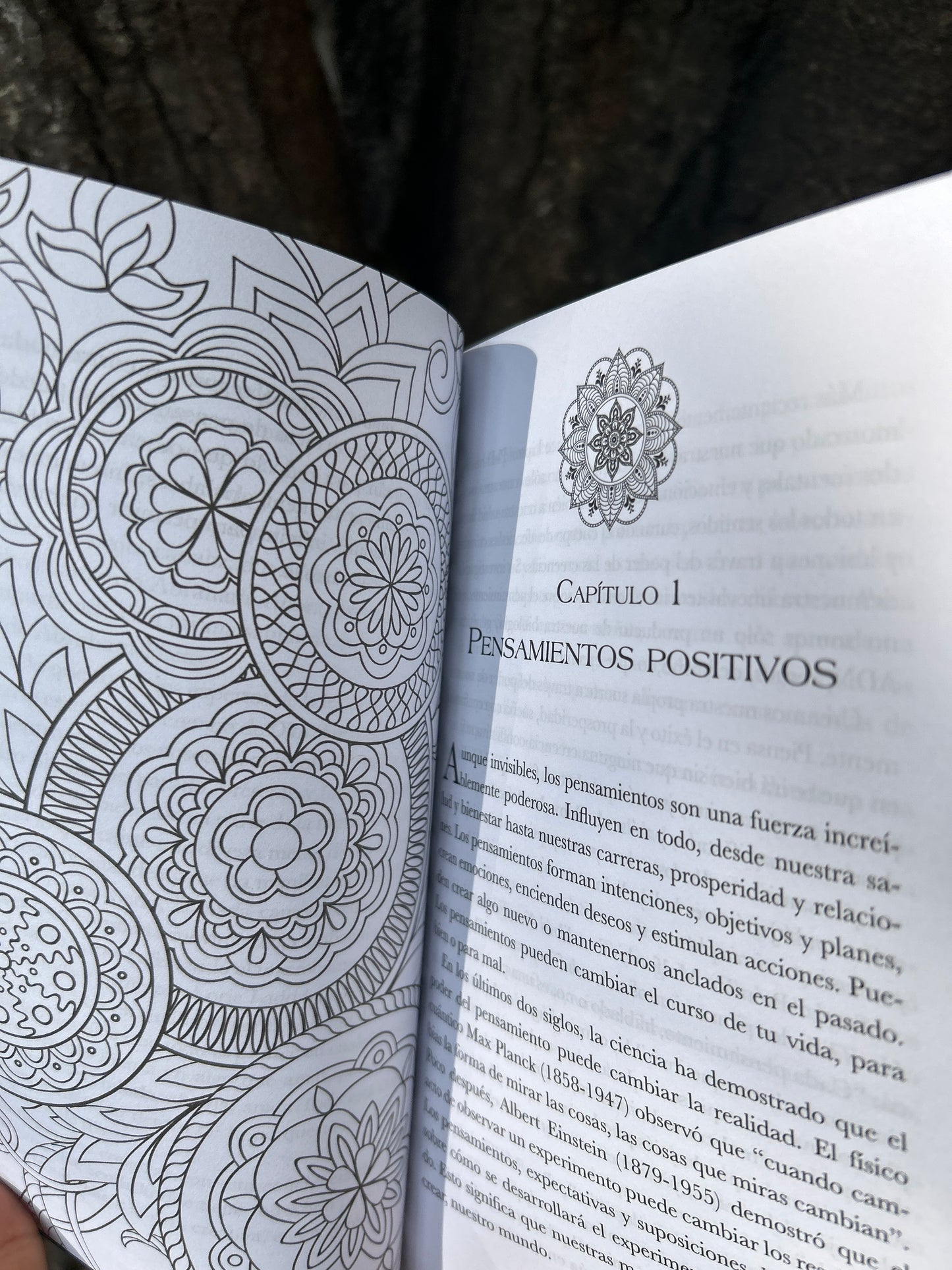 LEY DE ATRACCIÓN Emilia Anderson