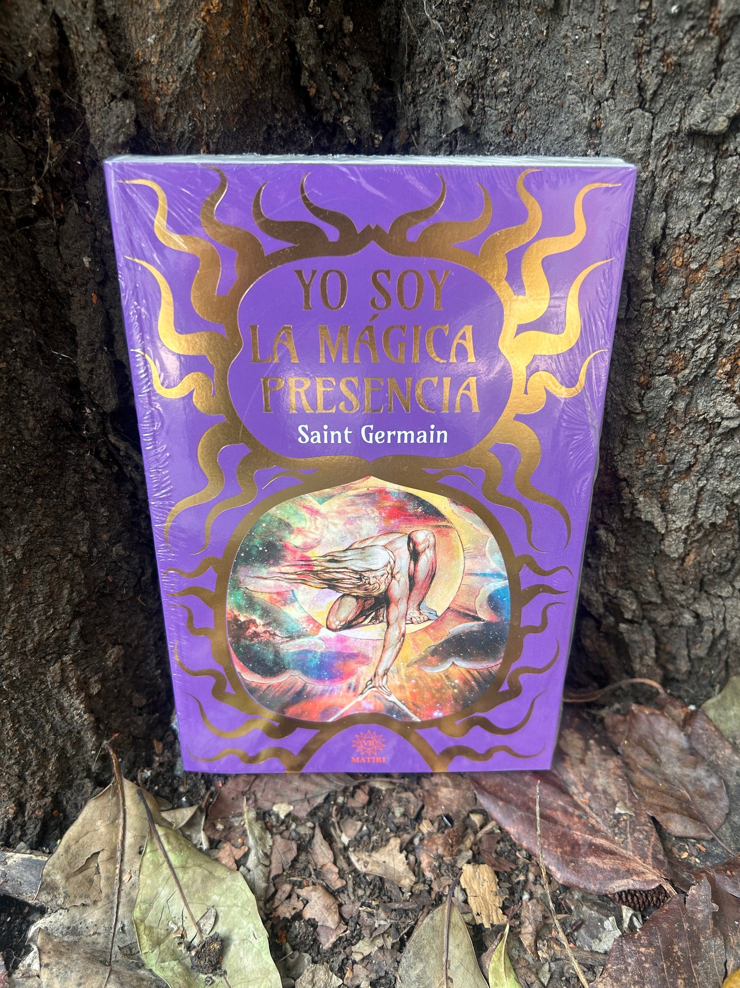 LIBROS MÁGICOS