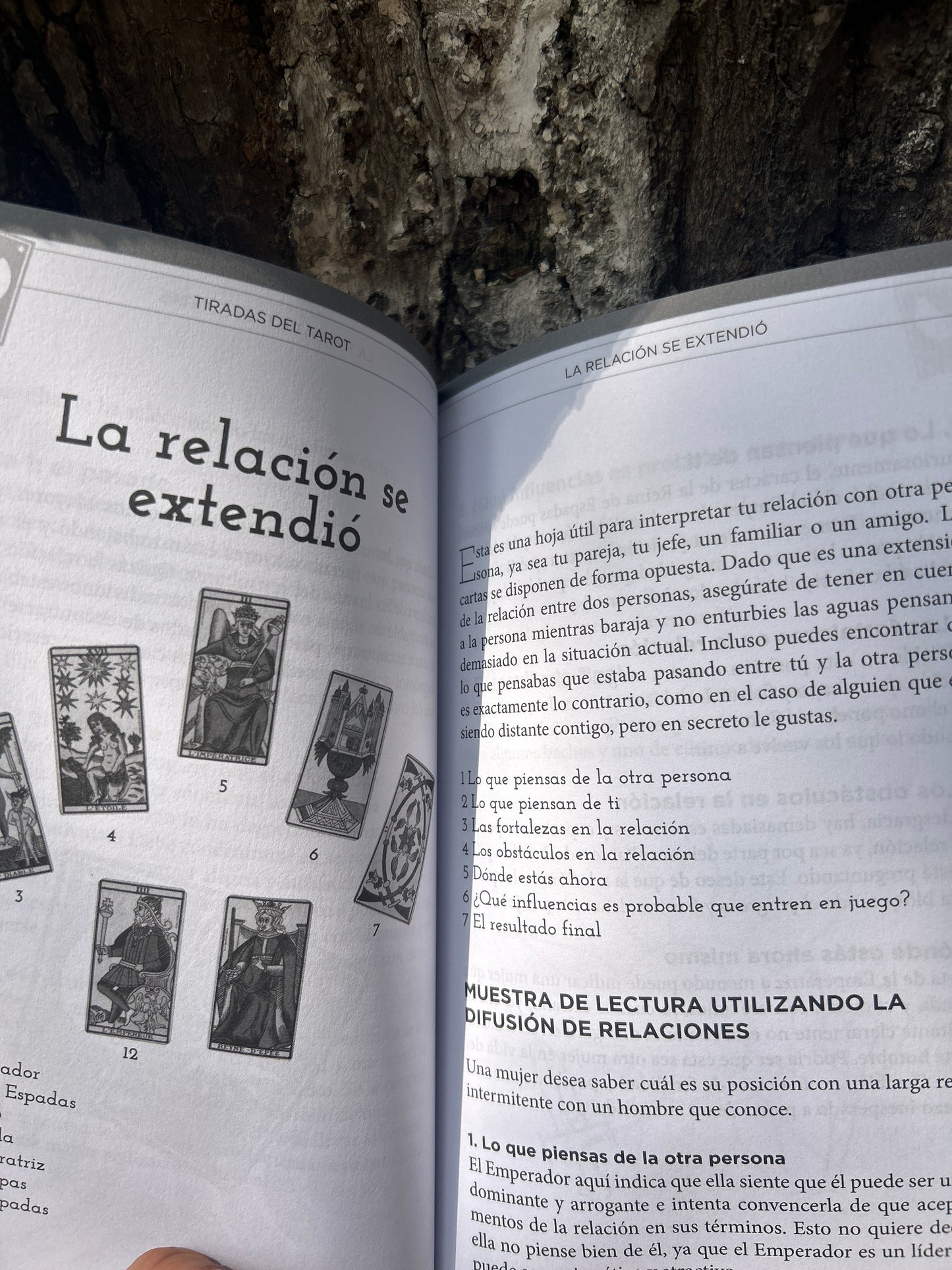 TAROT COMO LEER LOS MENSAJES DE LAS CARTAS Alice Ekrek