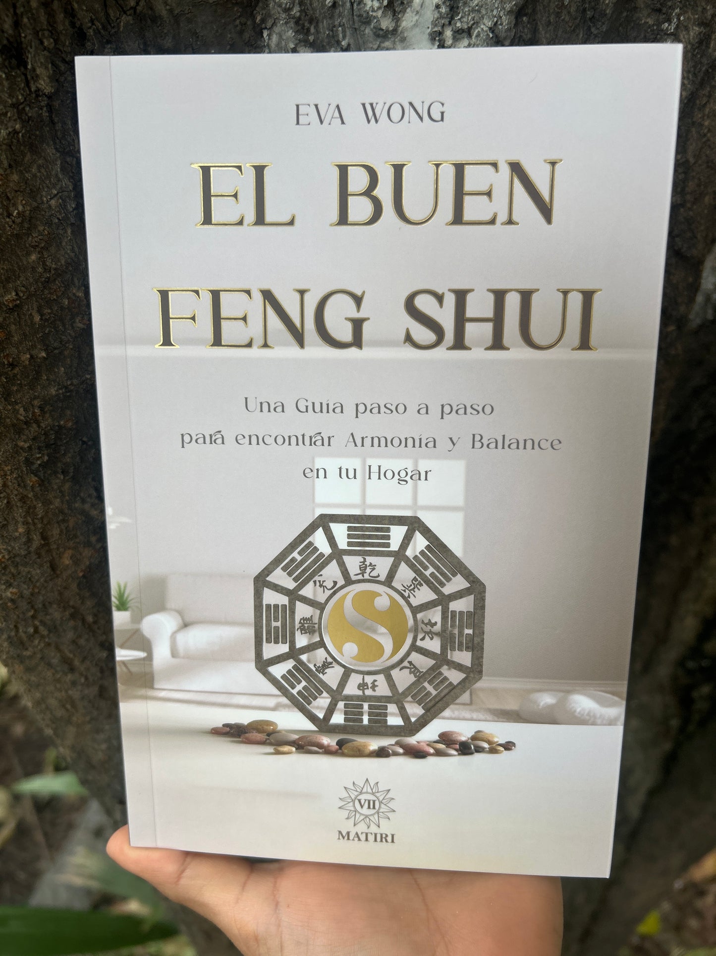 EL BUEN FENG SHUI Eva Wong