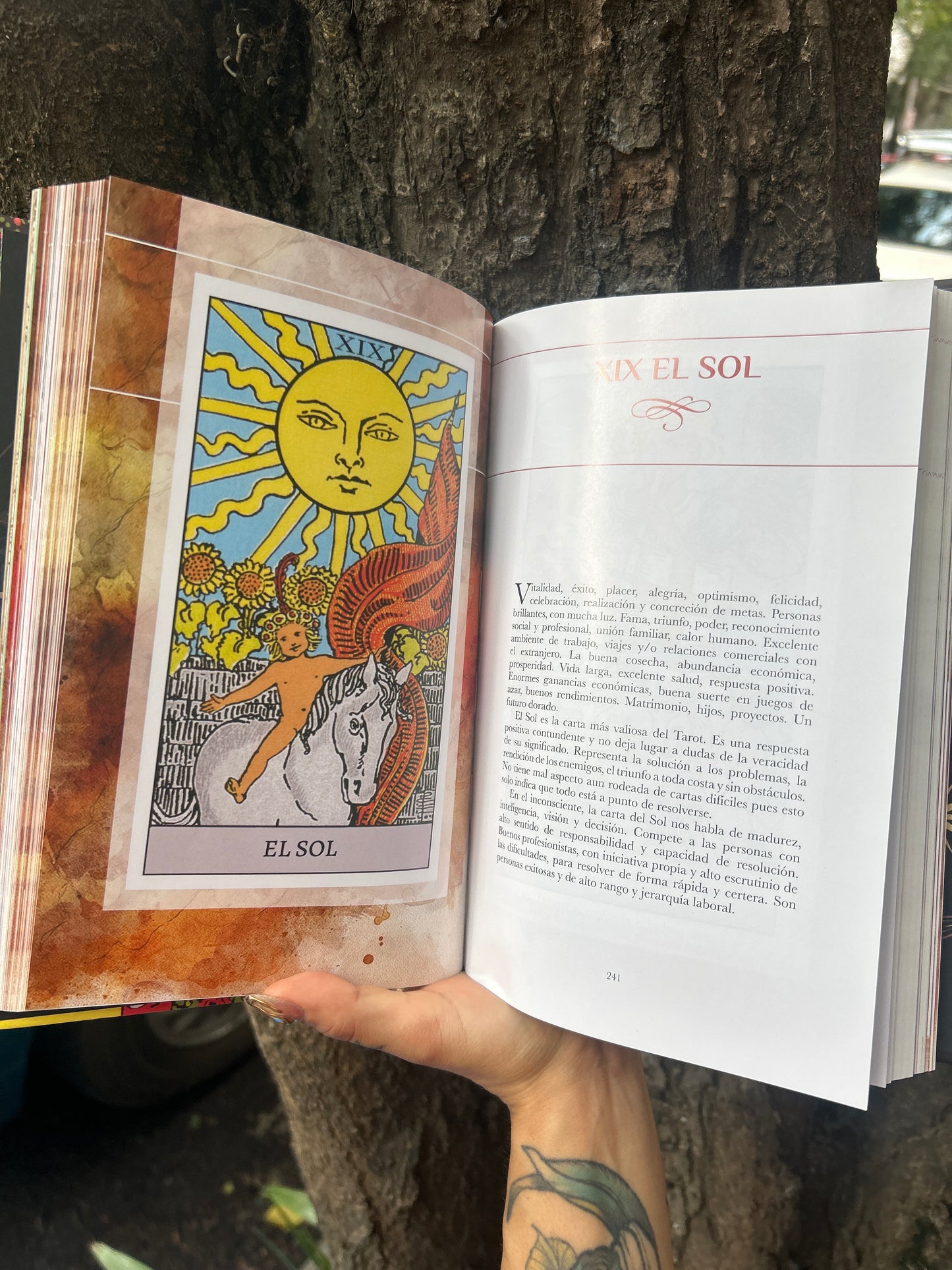 EL VIAJE DEL ARCANO Jorge Magos