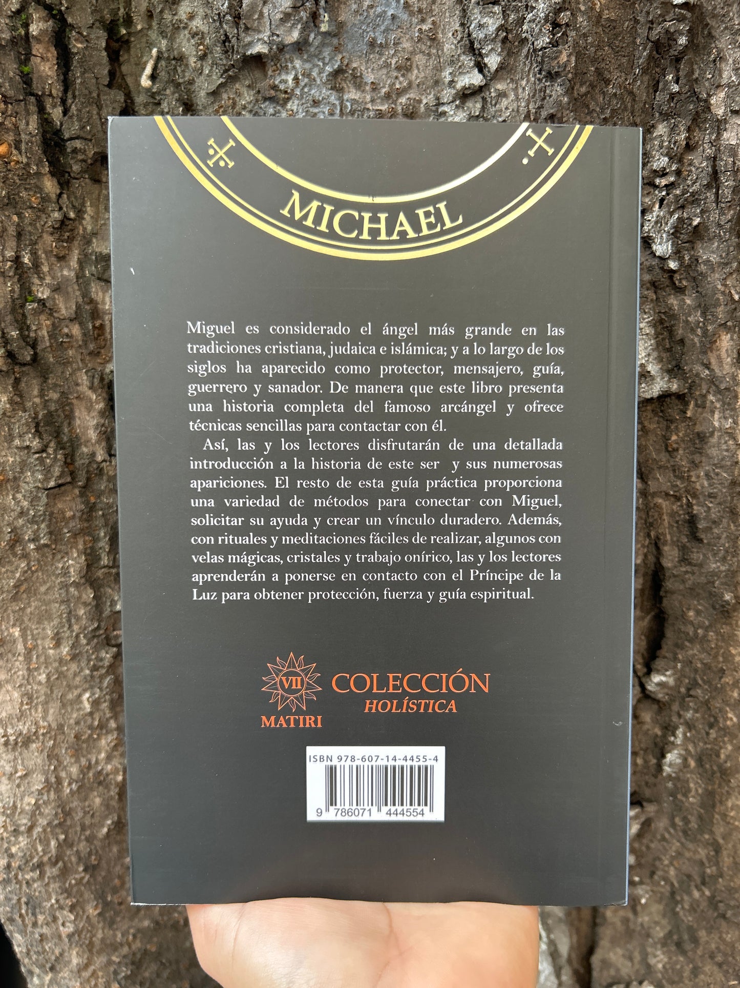 CÓMO COMUNICARSE CON EL ARCÁNGEL MIGUEL PARA GUÍA Y PROTECCIÓN Richard Webster