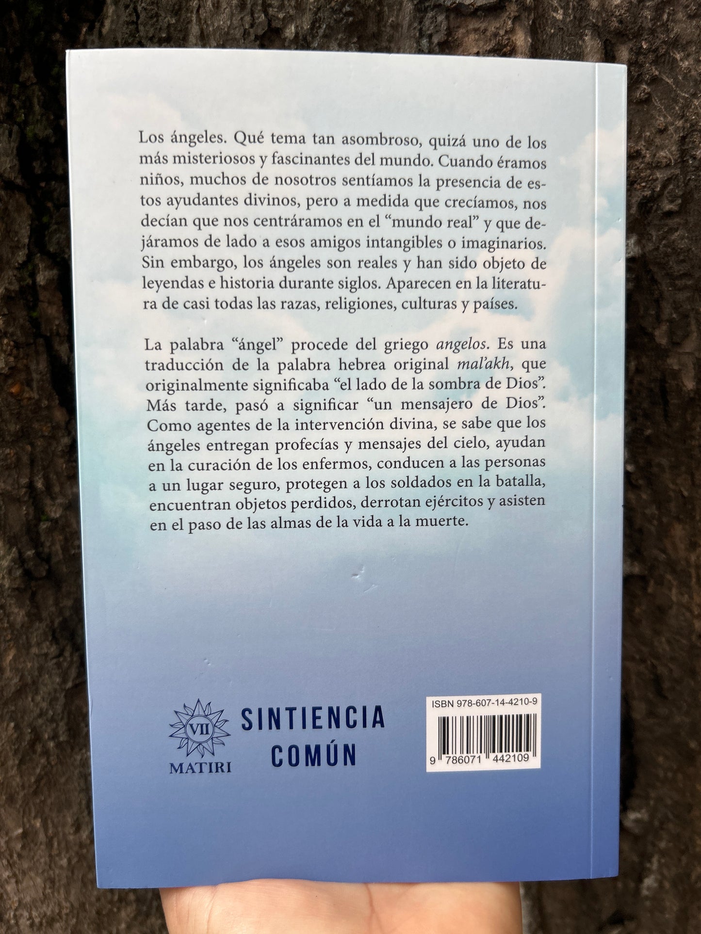 ÁNGELES Tricia McCannon
