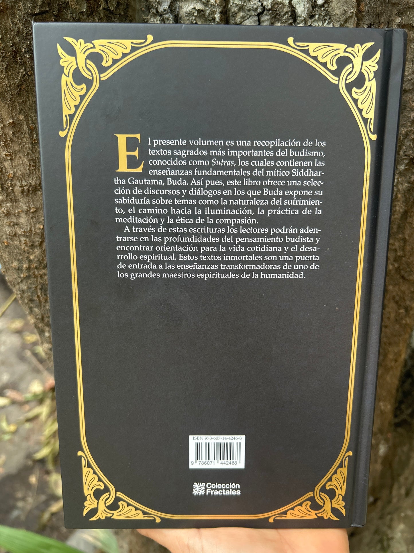 SUTRAS LAS ENSEÑANZAS DE BUDA