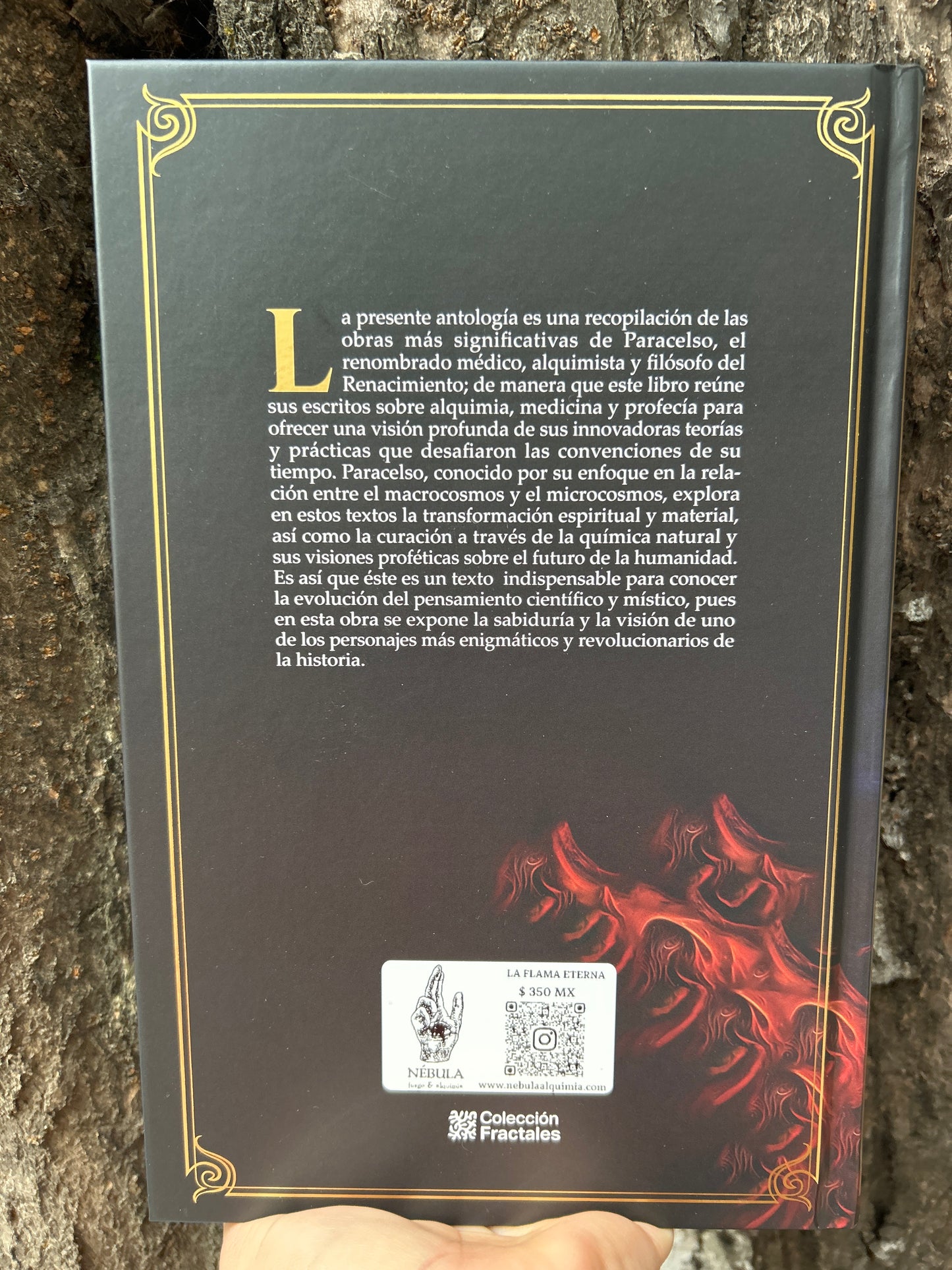LA FLAMA ETERNA Paracelso