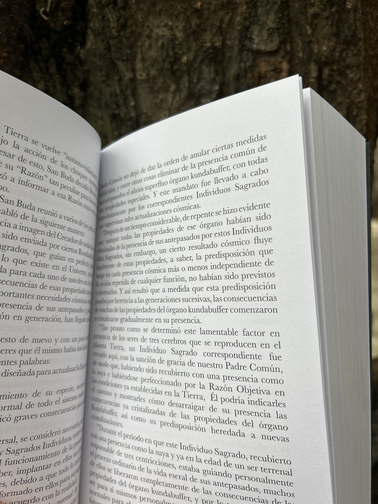 RELATOS DE BELCEBÚ A SU NIETO G.I. Gurdjieff