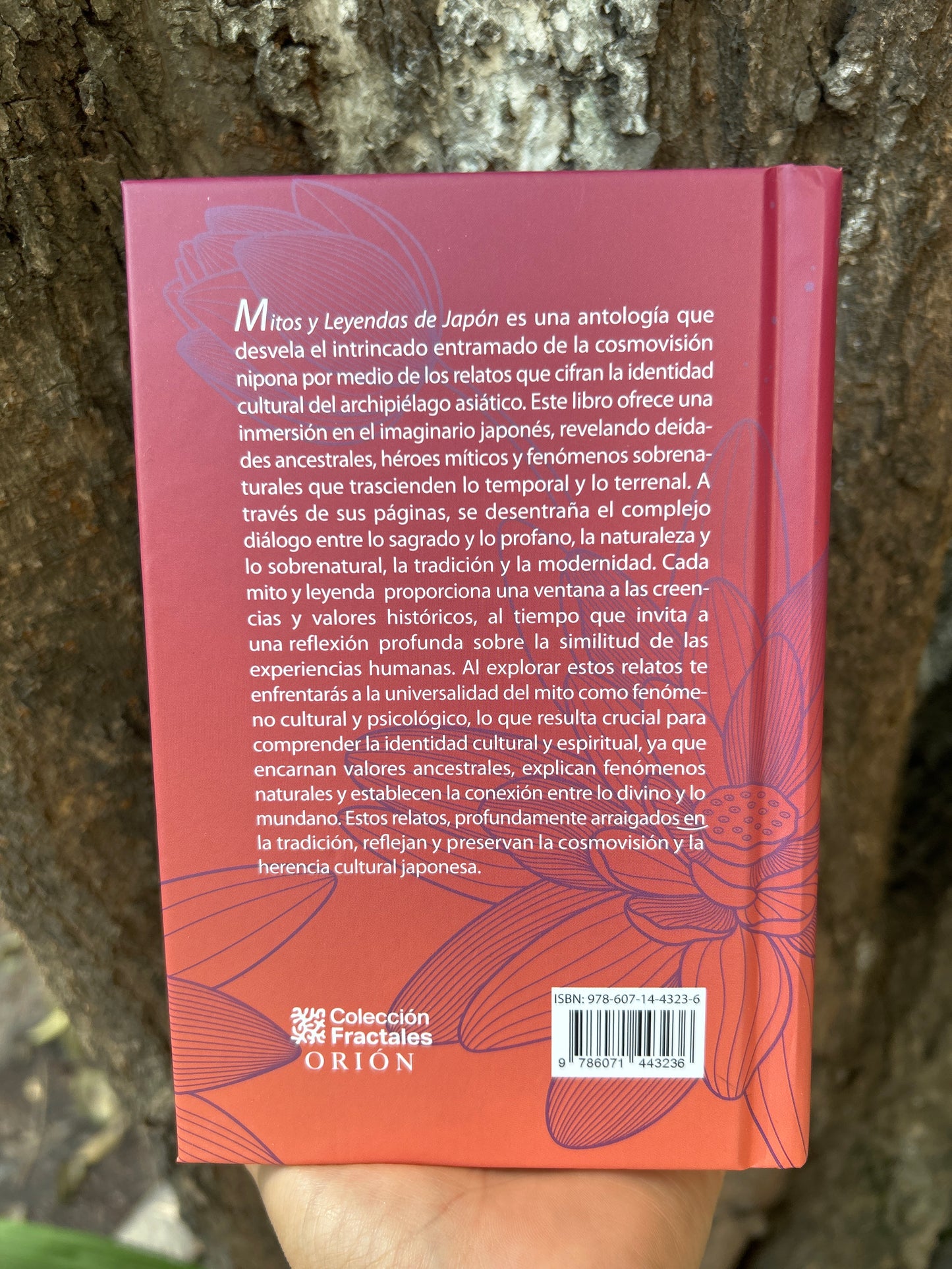 Mitos y Leyendas de Japón