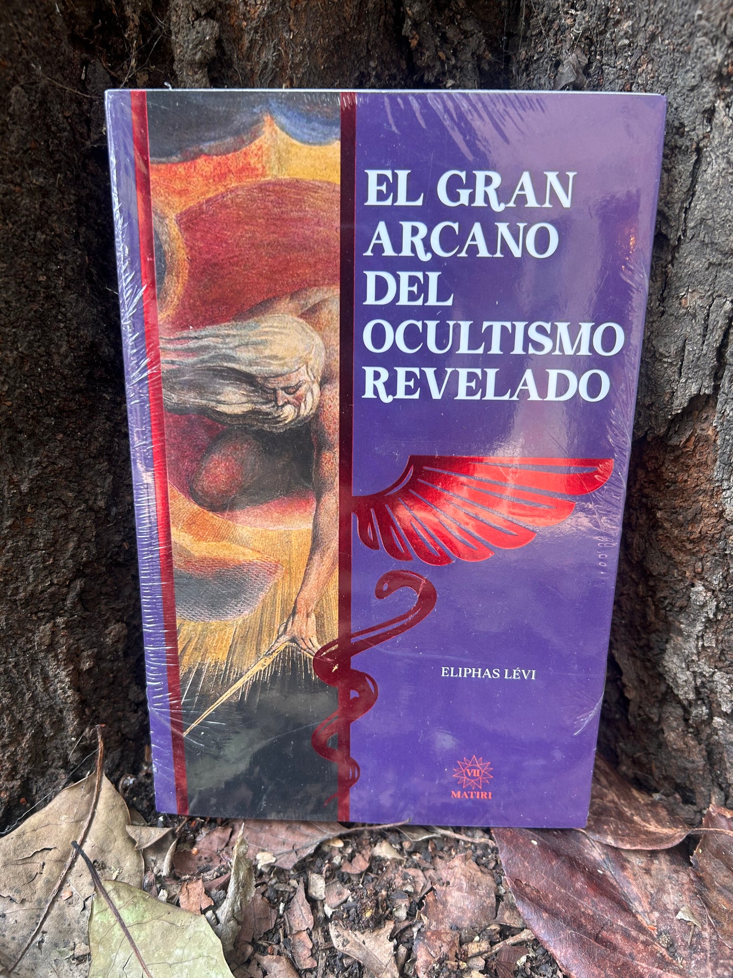 LIBROS MÁGICOS