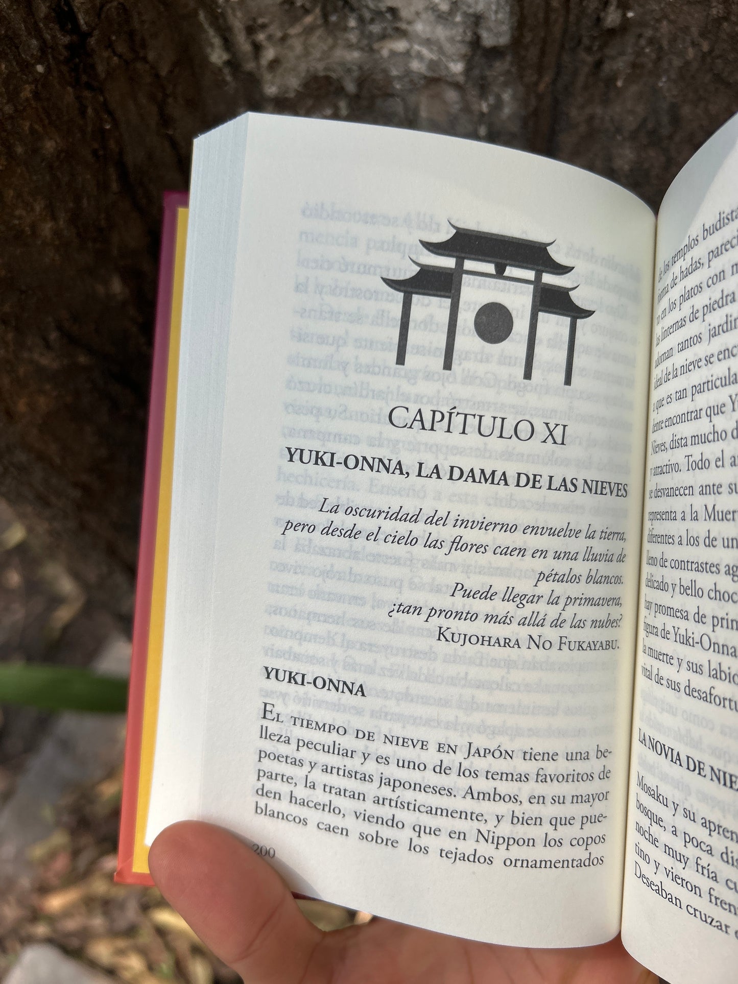Mitos y Leyendas de Japón