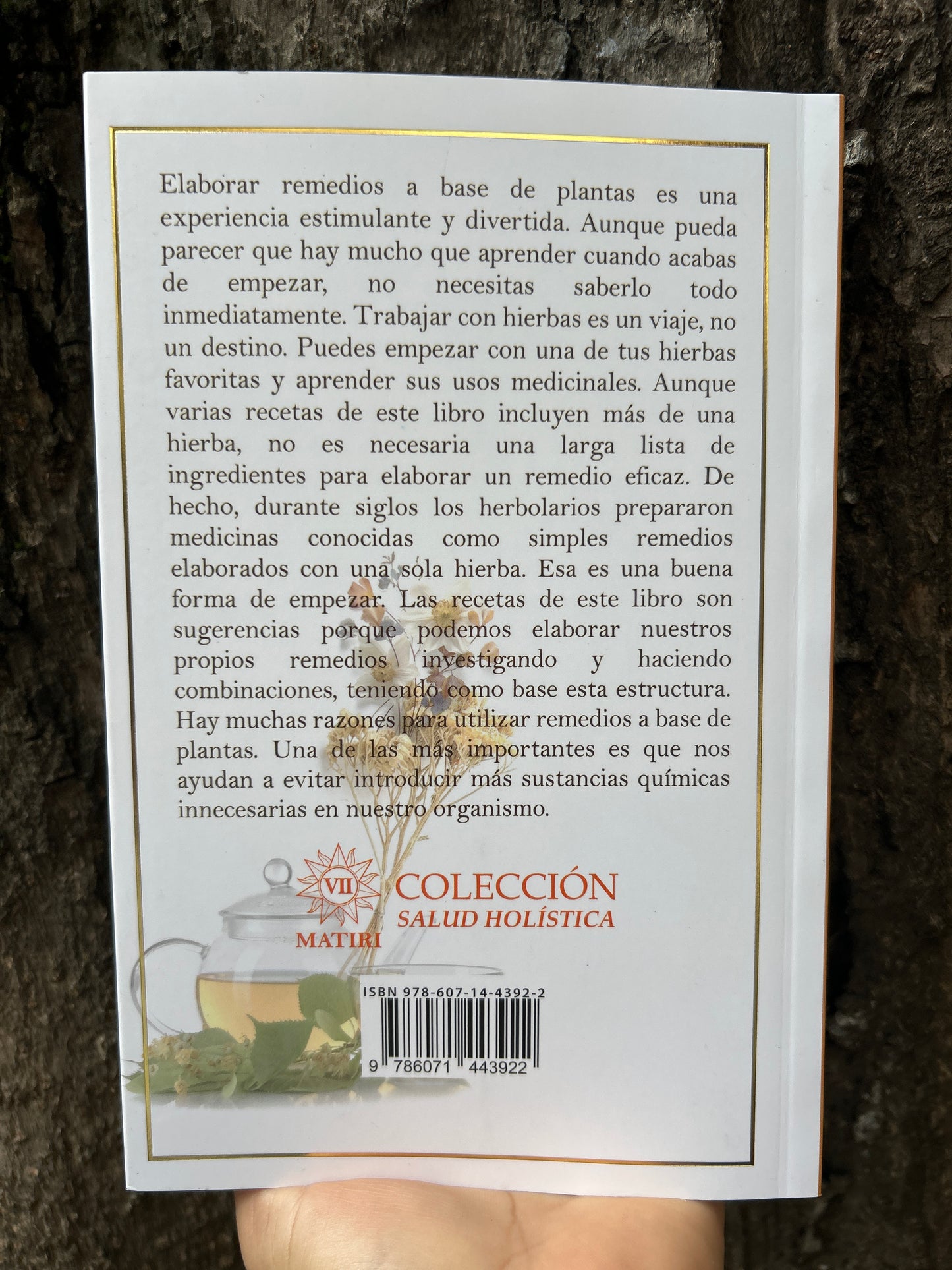 REMEDIOS HERBALES Sandra Kynes