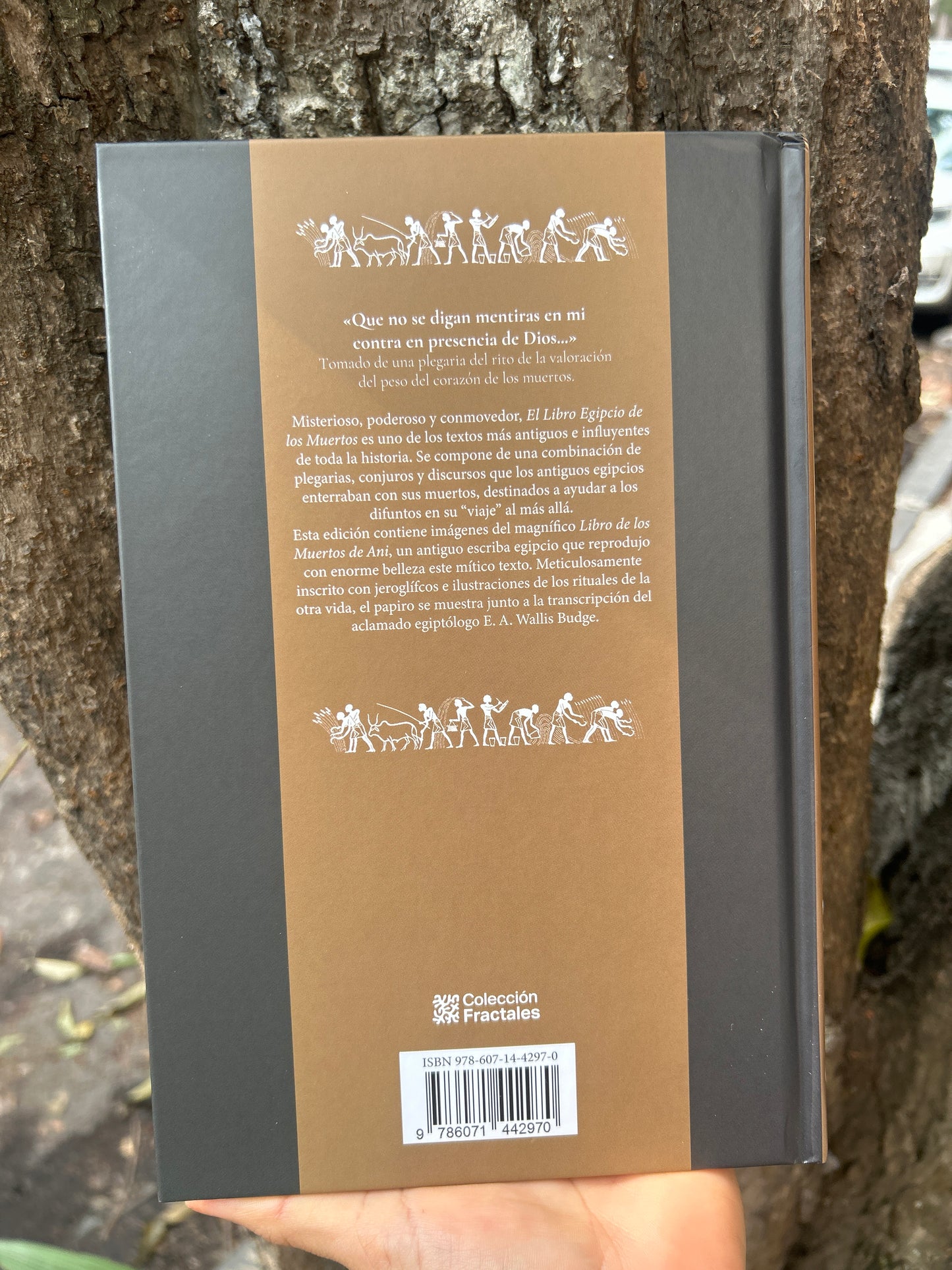 EL LIBRO EGIPCIO DE LOS MUERTOS ILUSTRADO