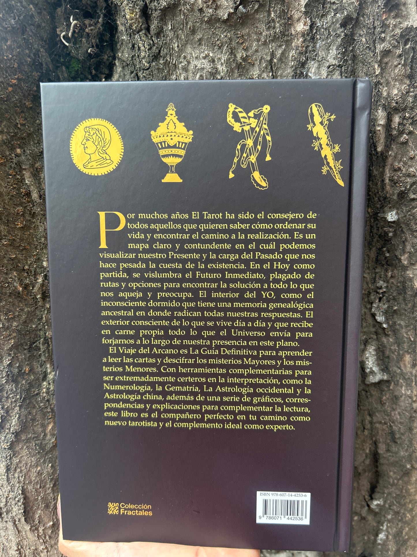 EL VIAJE DEL ARCANO Jorge Magos