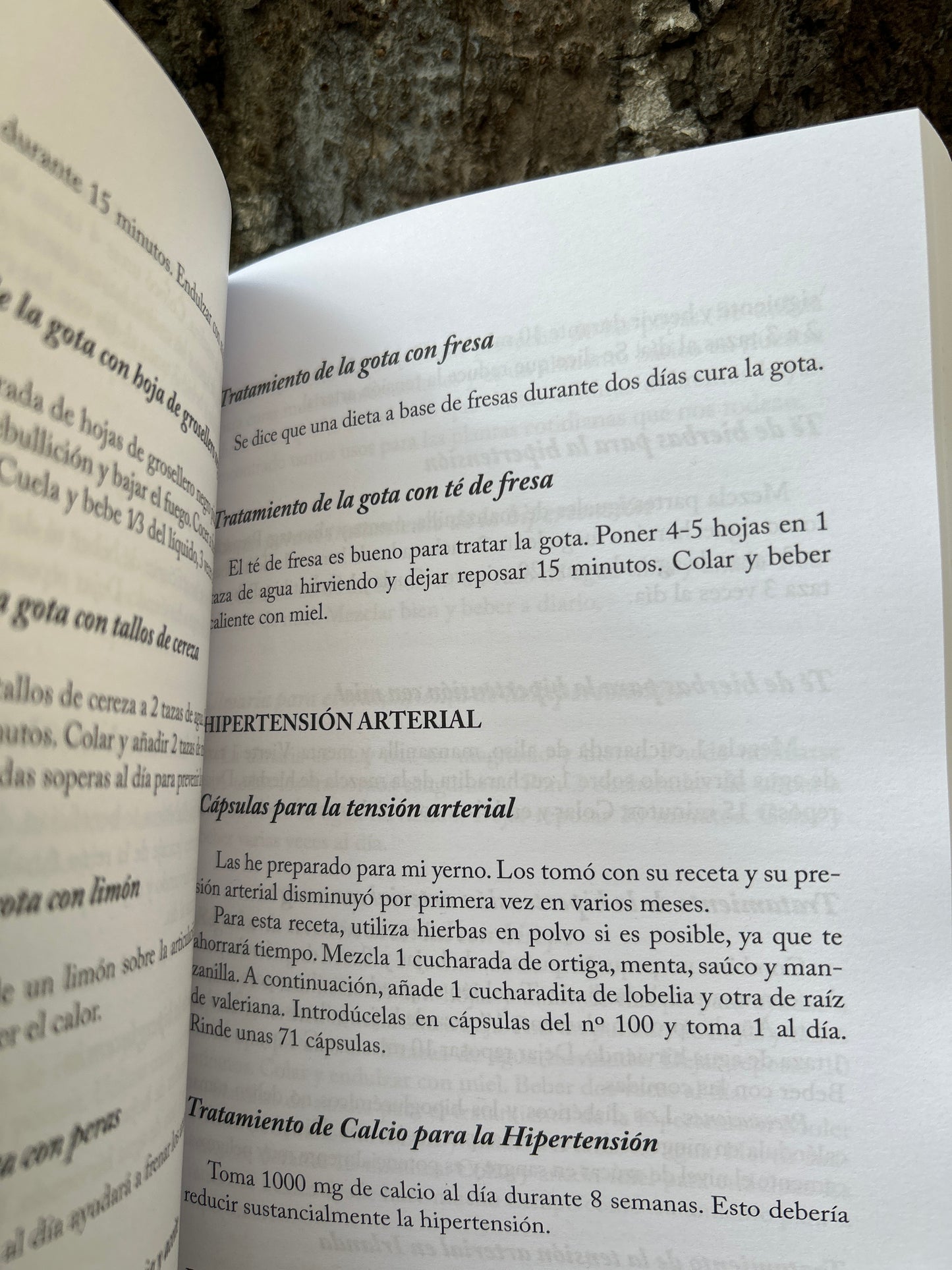 RECETARIO HERBOLARIO Jude Todd