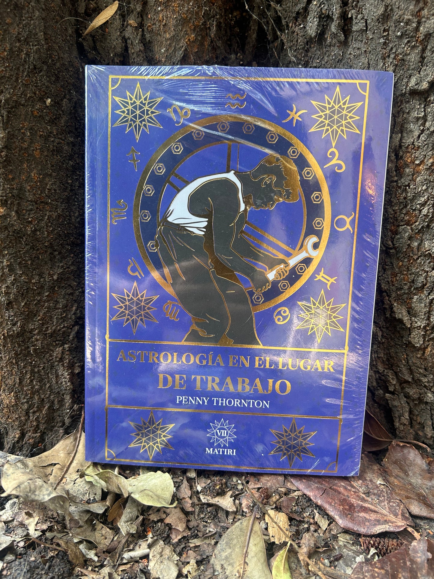 LIBROS MÁGICOS