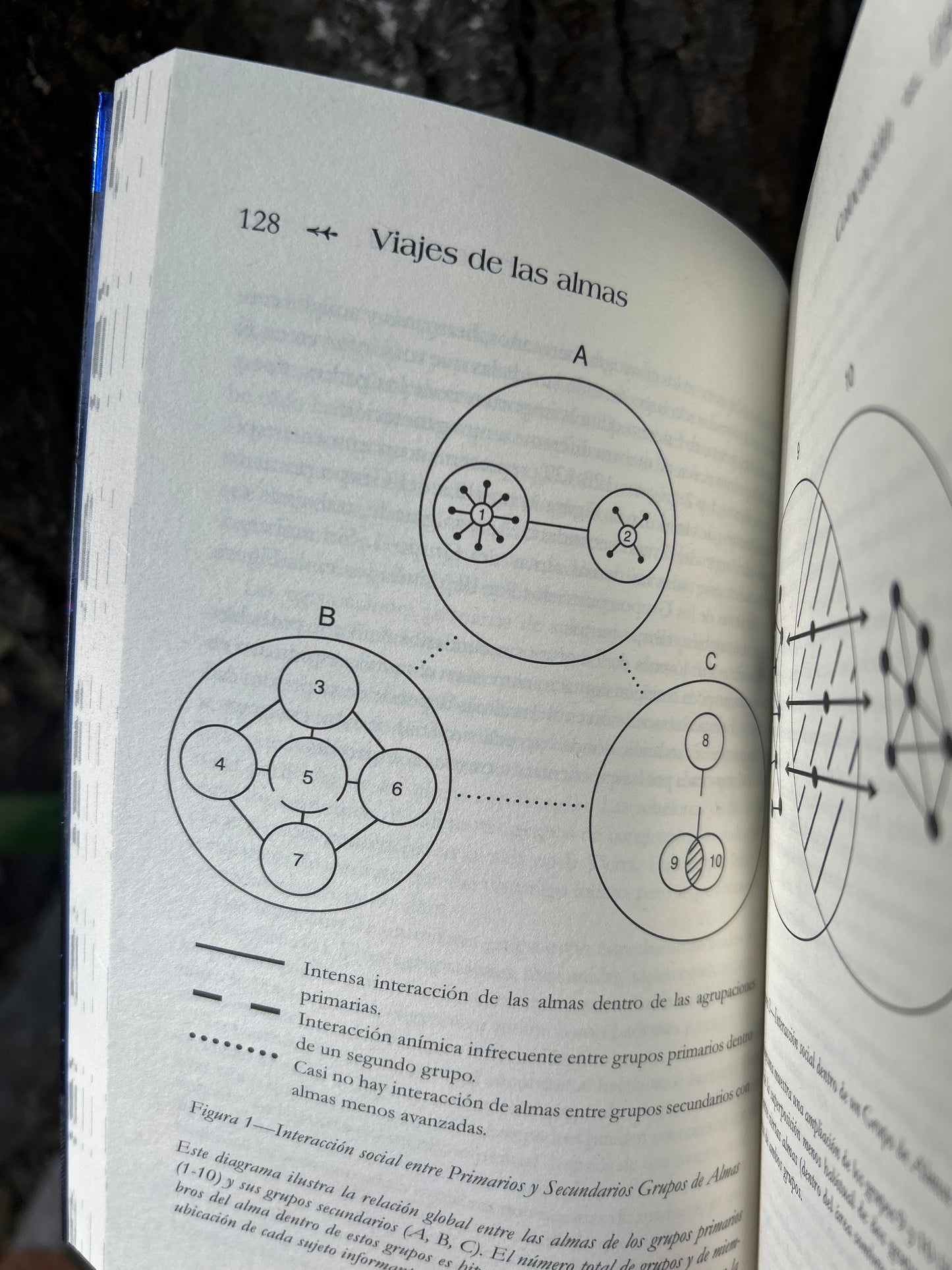 EL VIAJE DE LAS ALMAS Michael Newton