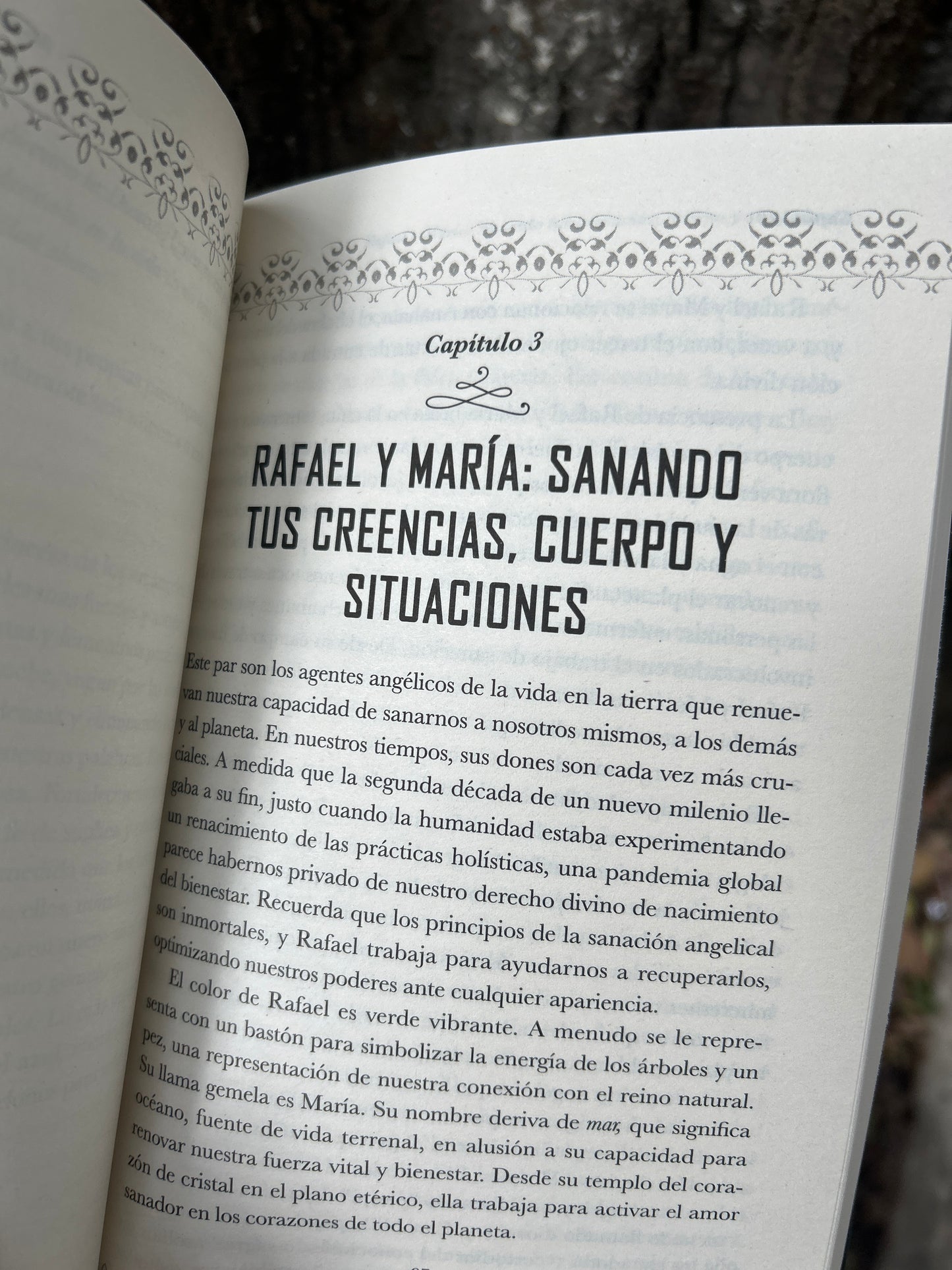 ÁNGELES Y DIOSAS Crystal Pomeroy