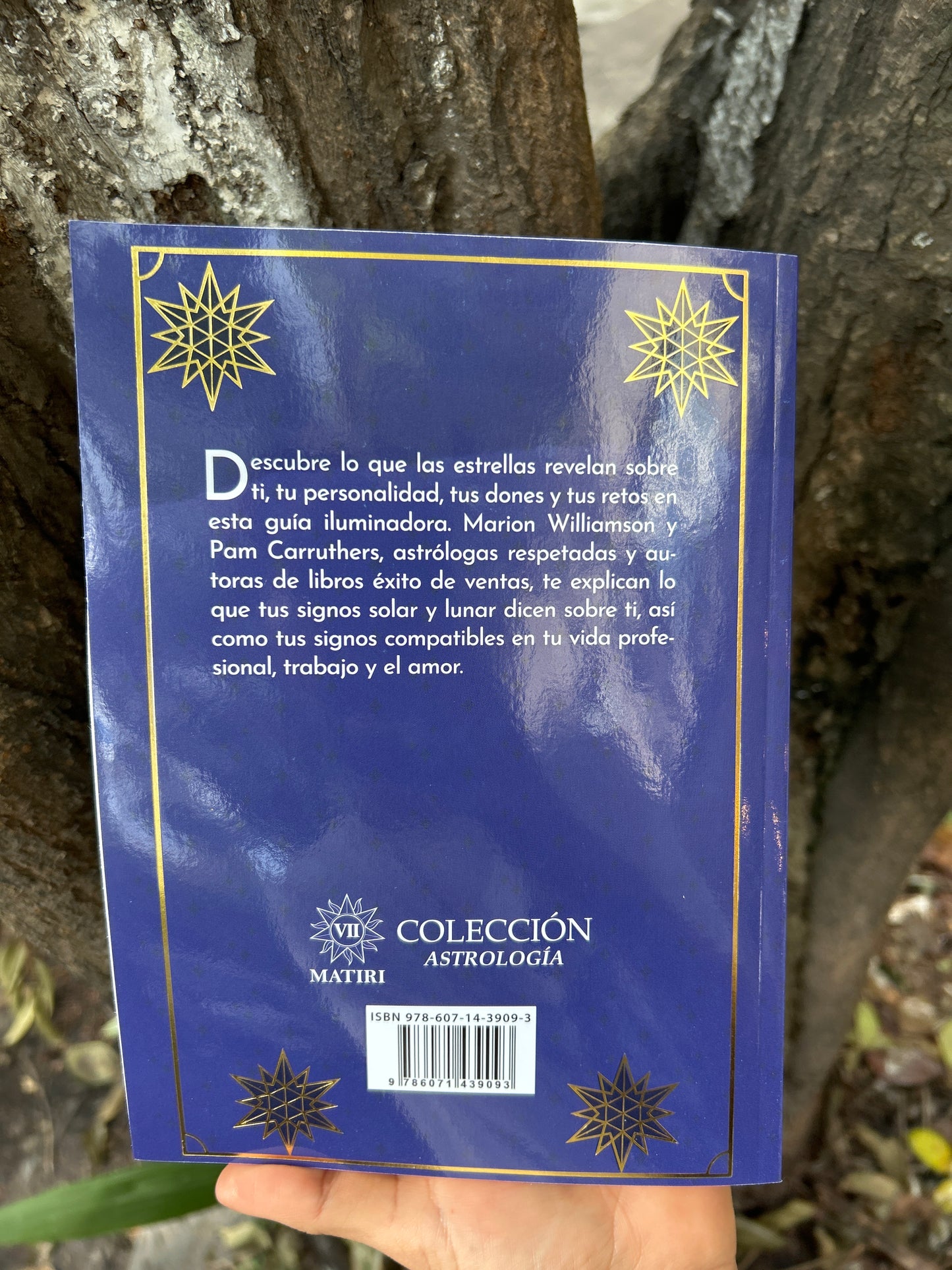 ASTROLOGÍA EN EL LUGAR DE TRABAJO Penny Thornton