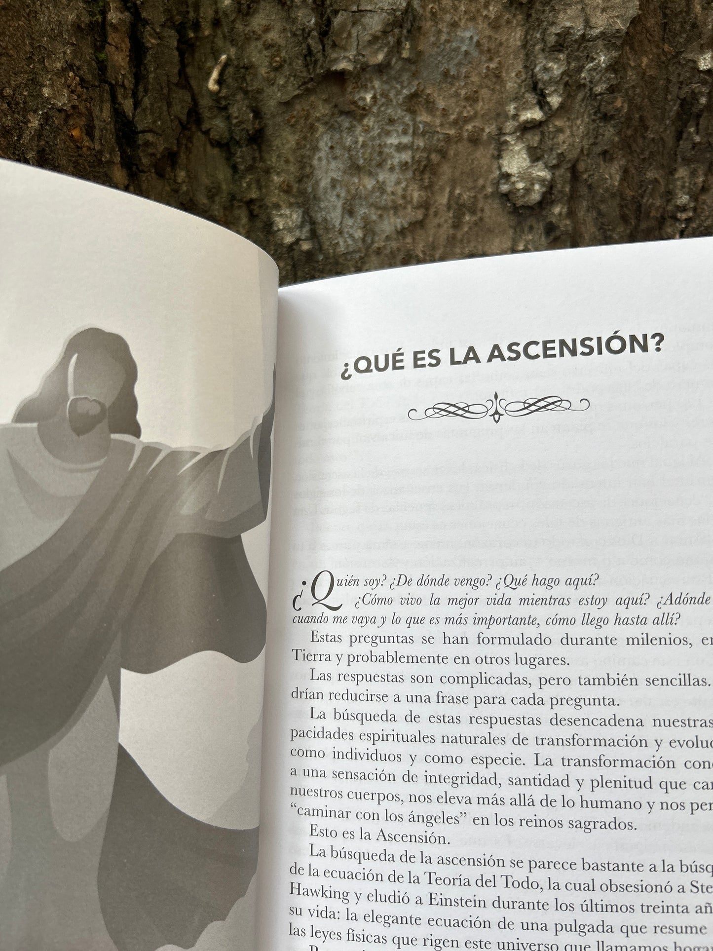 ASCENCIÓN William Henry