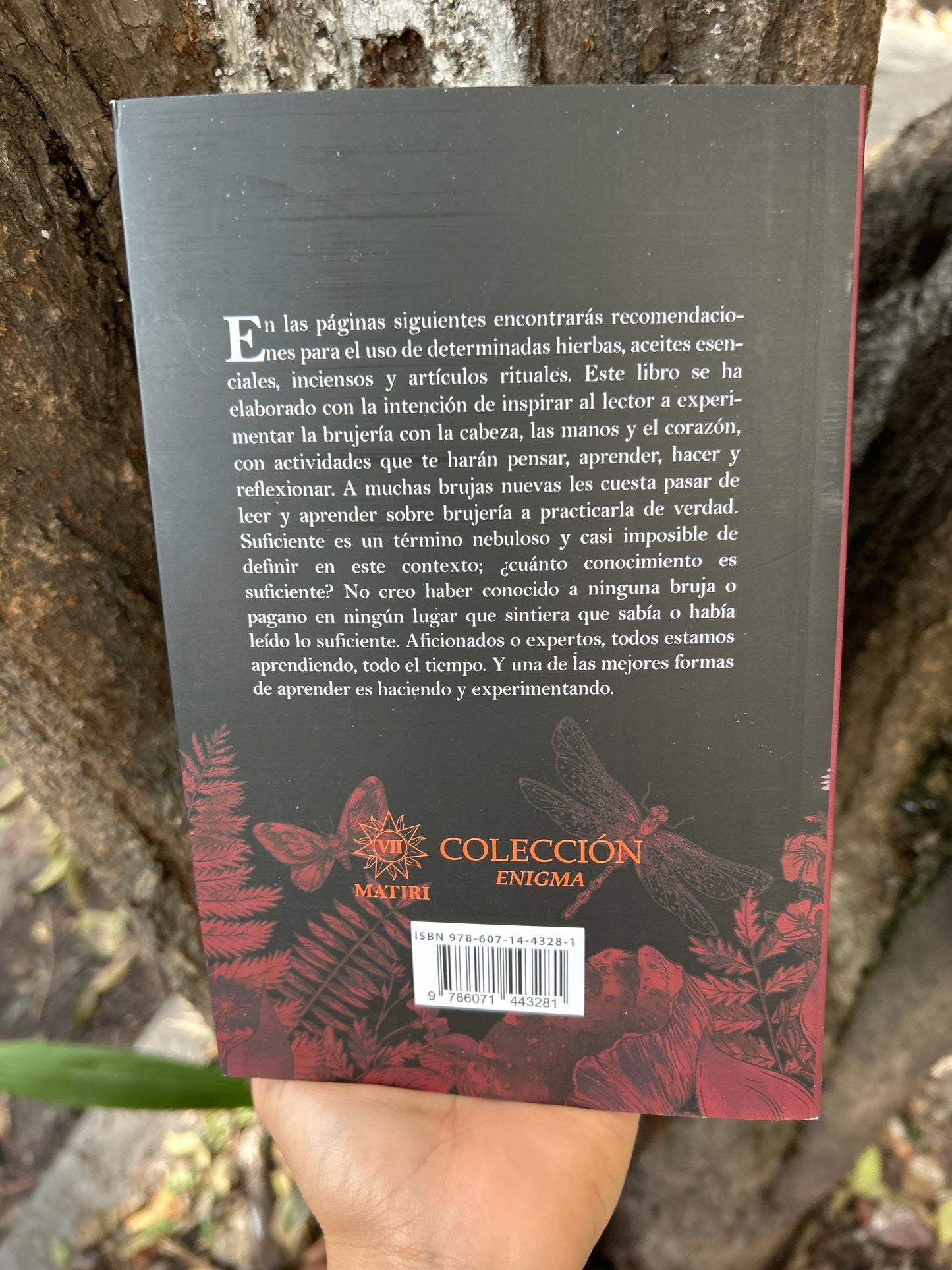 BRUJERÍA DEVELADA Josephine Winter