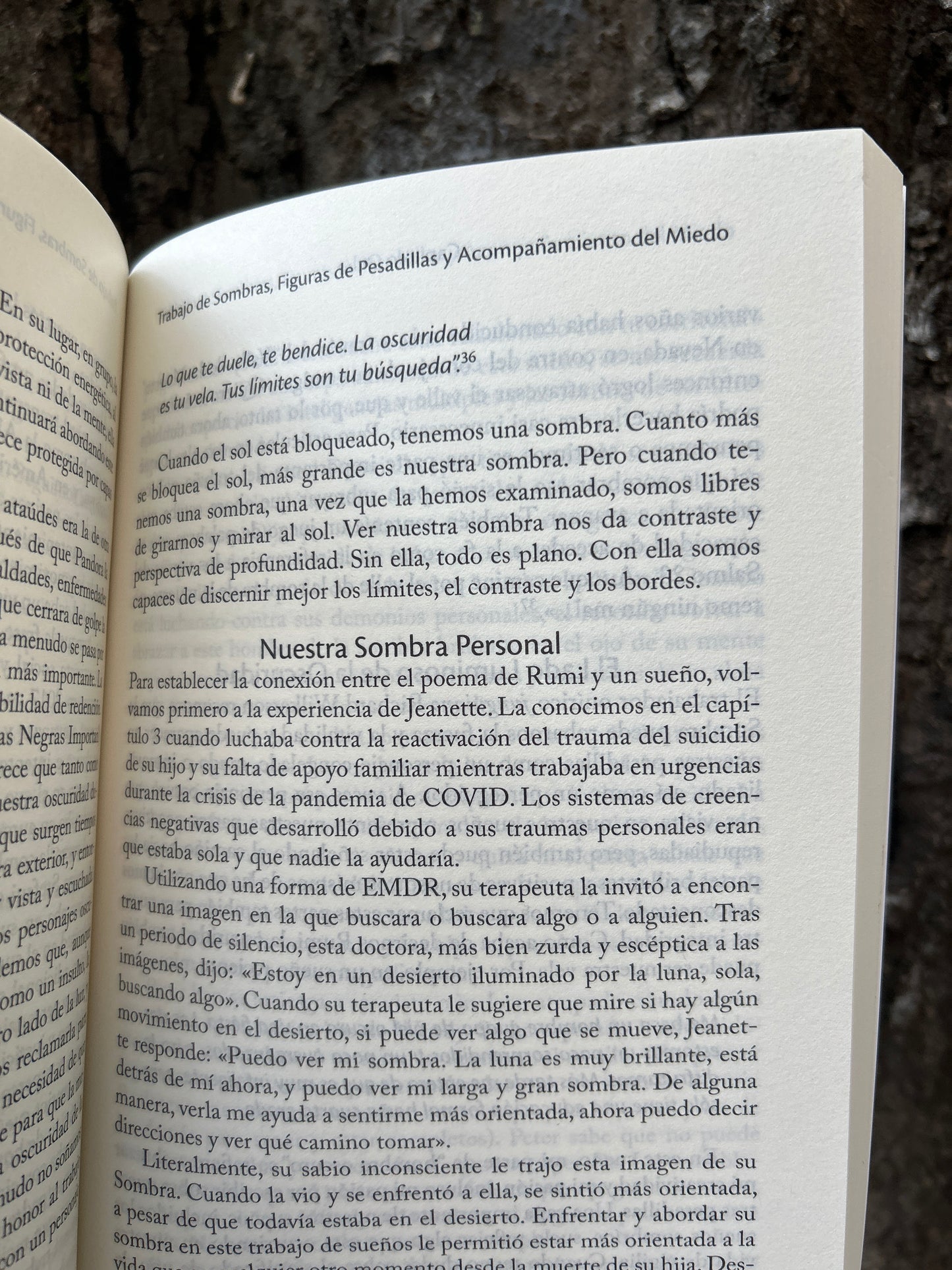 SUEÑOS TEPT Linda Yael Schiller