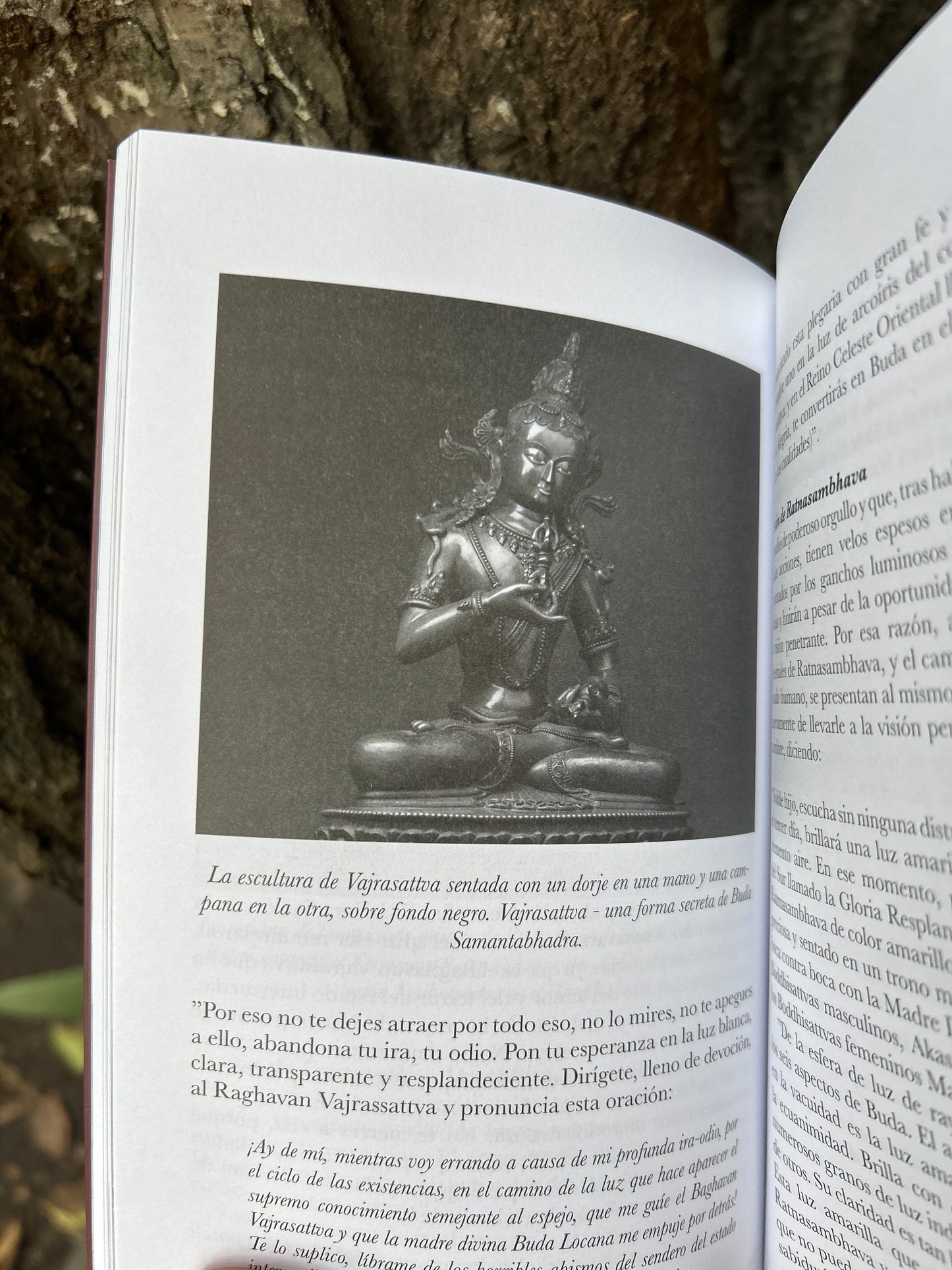 EL LIBRO TIBETANO DE LOS MUERTOS Bardo Thodöl