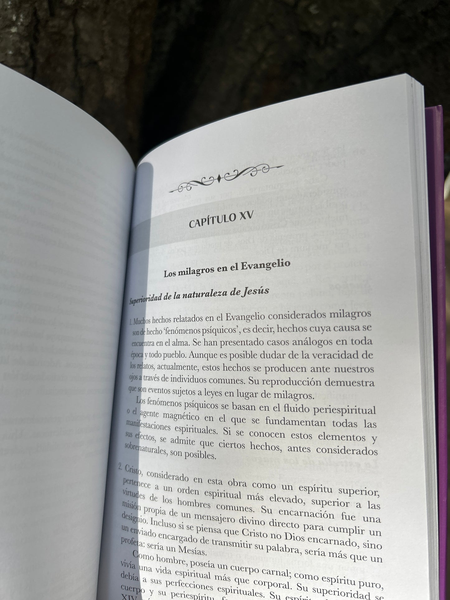 EL GÉNESIS DE LOS MILAGROS Y LAS PROFECÍAS