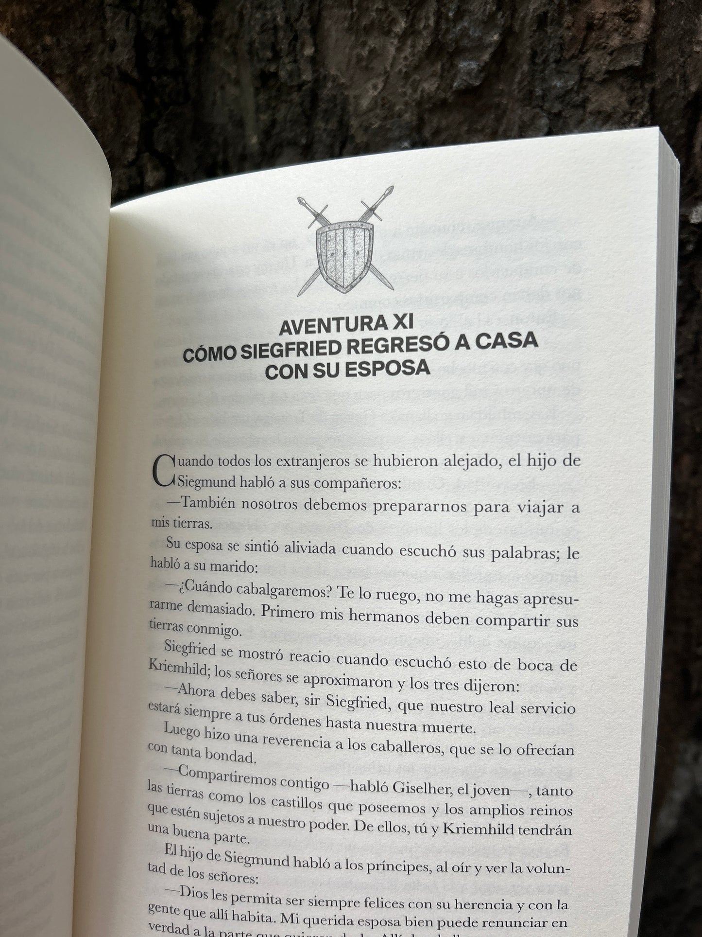 EL CANTAR DE LOS NIBELUNGOS