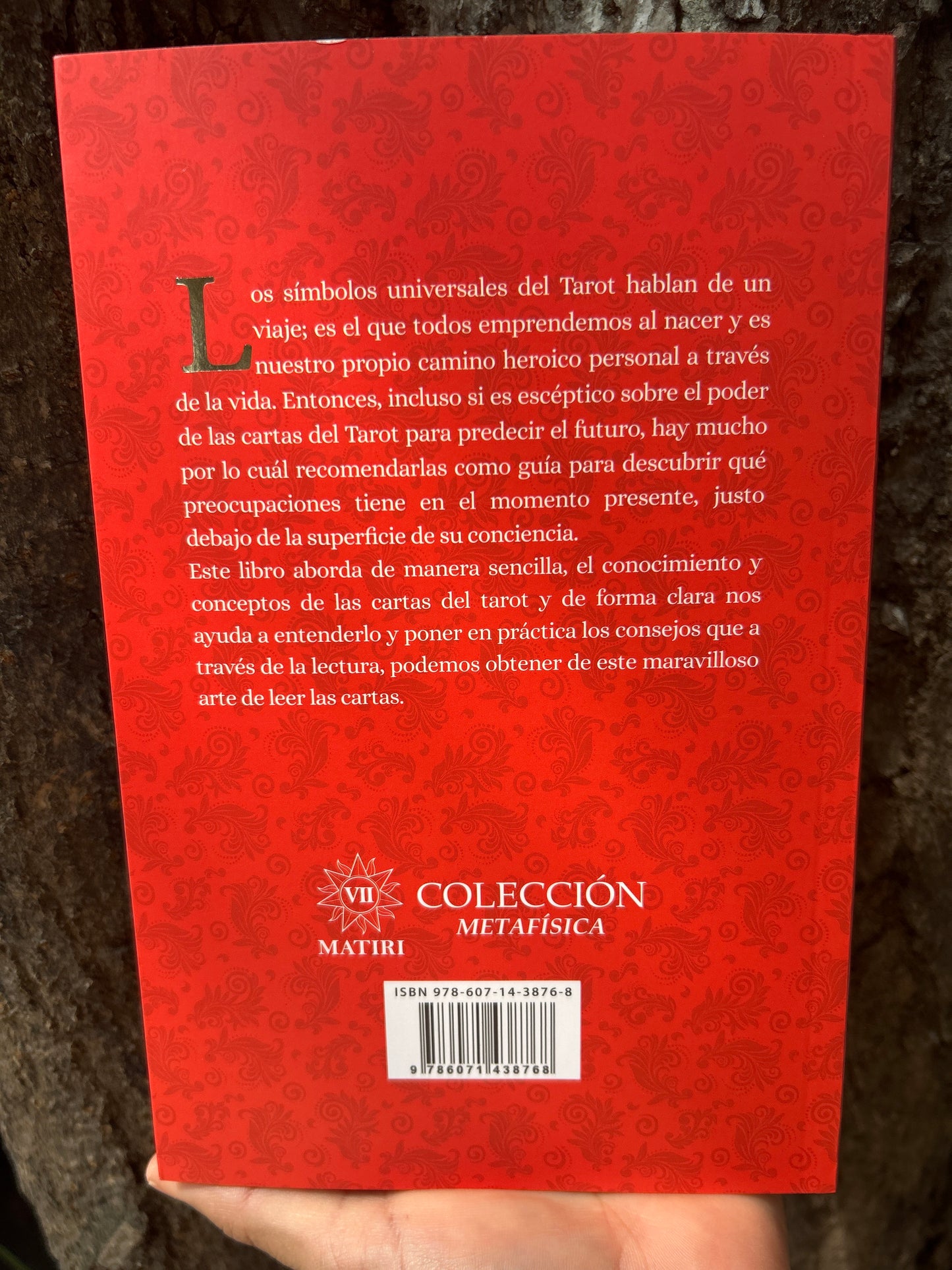 TAROT COMO LEER LOS MENSAJES DE LAS CARTAS Alice Ekrek