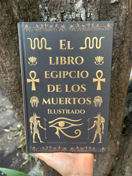 EL LIBRO EGIPCIO DE LOS MUERTOS ILUSTRADO