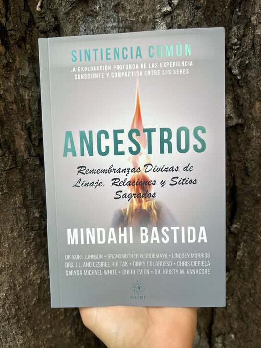 ANCESTROS Mindahi Bastida