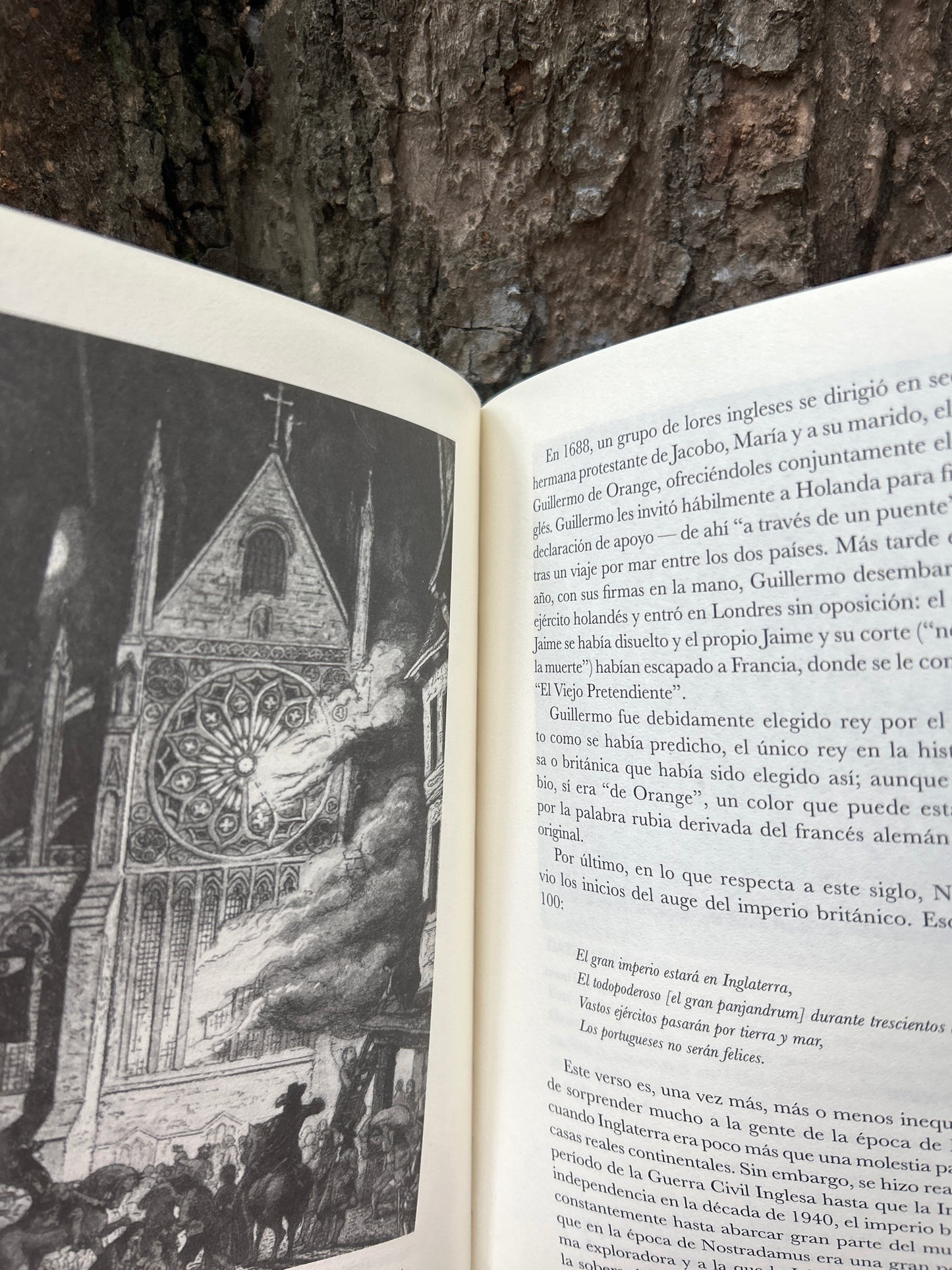 NOSTRADAMUS Y OTROS PROFETAS Y VIDENTES Jo Durden Smith