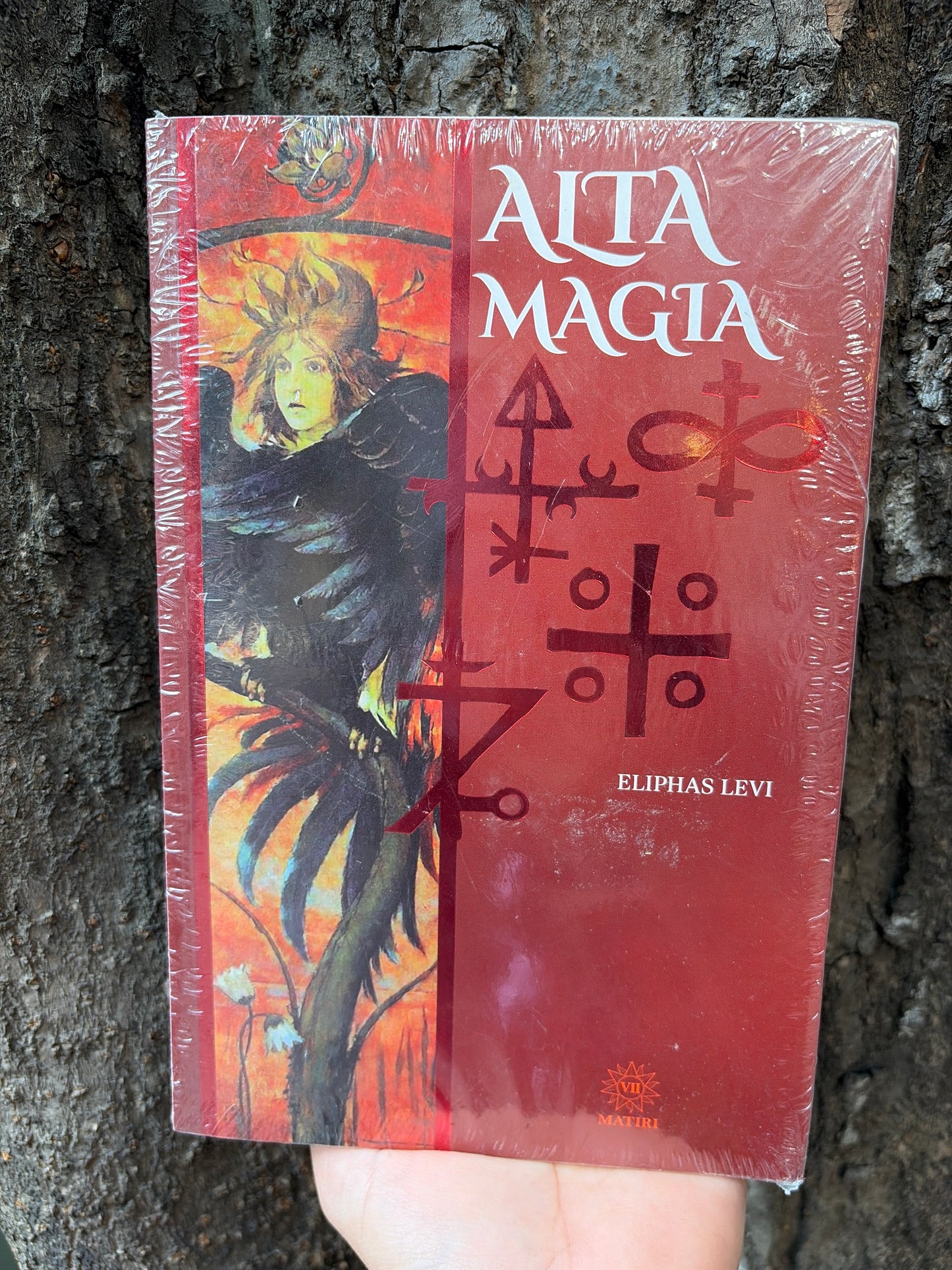 LIBROS MÁGICOS