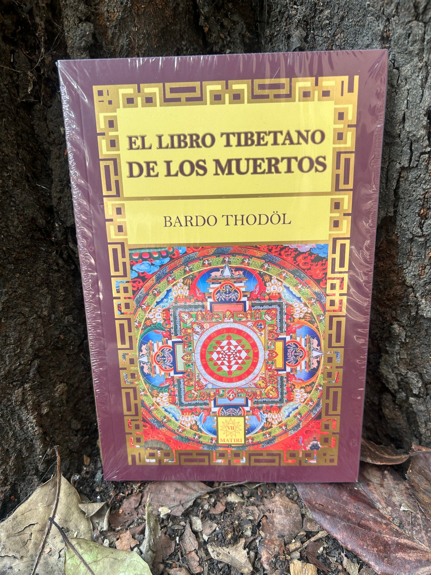 LIBROS MÁGICOS