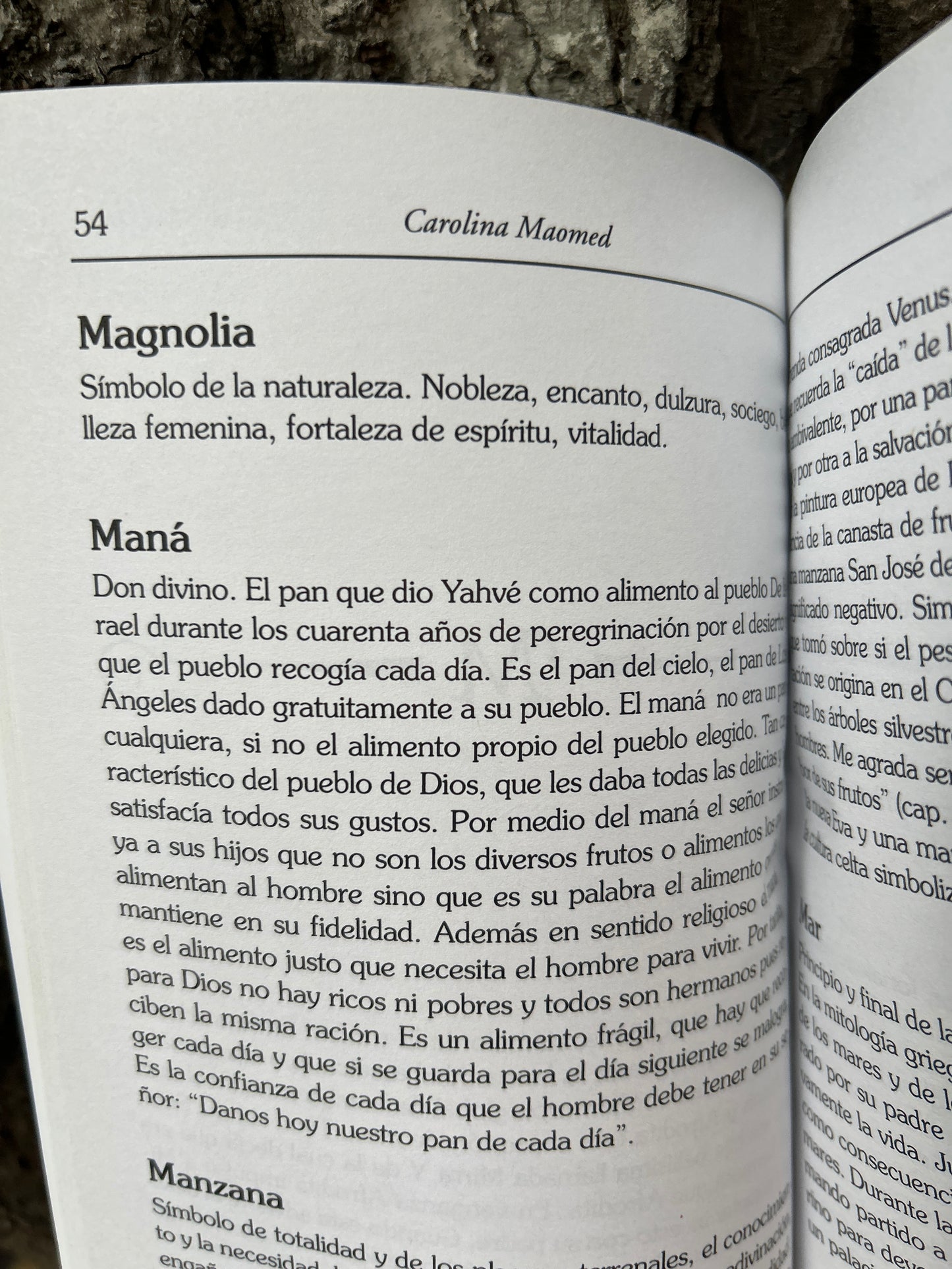 INTERPRETACIÓN DE LOS SÍMBOLOS Carolina Maomed