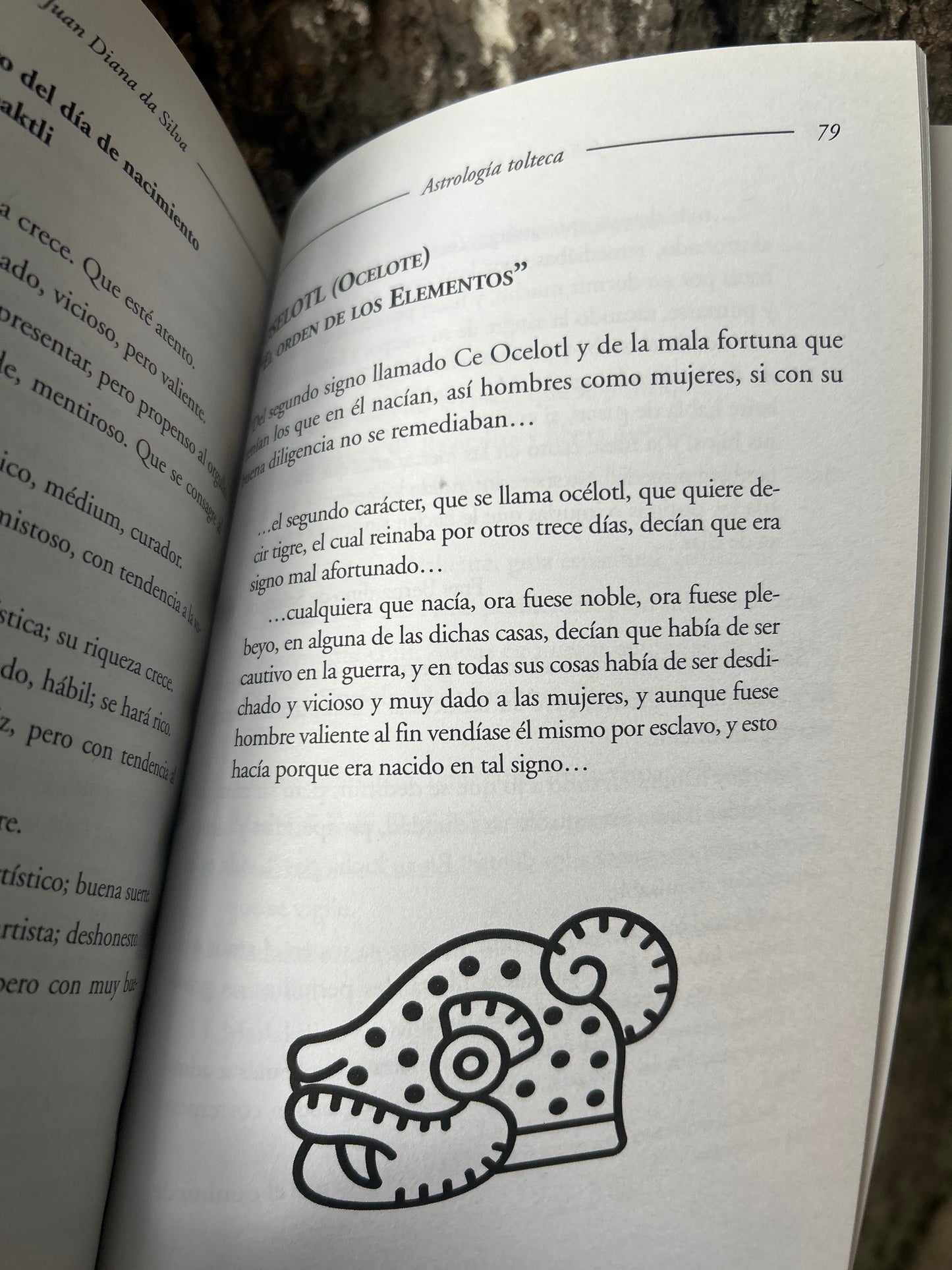 ASTROLOGÍA TOLTECA Julio Juan Diana da Silva