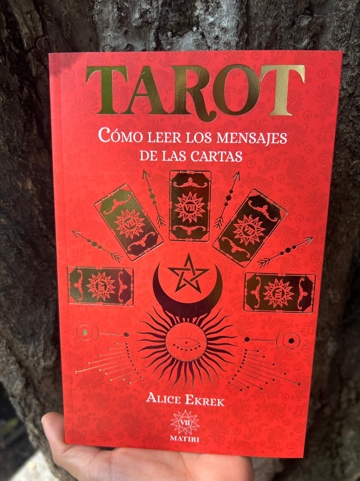 TAROT COMO LEER LOS MENSAJES DE LAS CARTAS Alice Ekrek