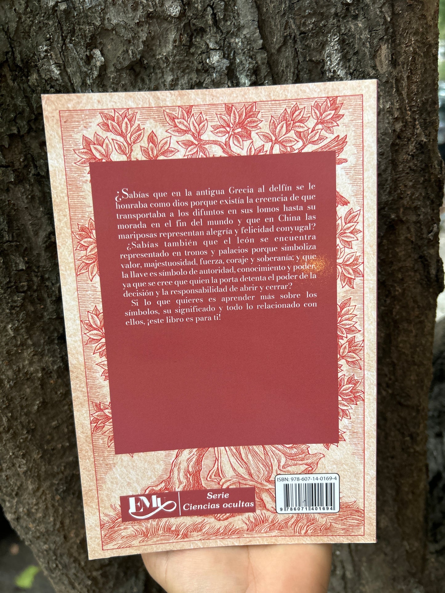 INTERPRETACIÓN DE LOS SÍMBOLOS Carolina Maomed