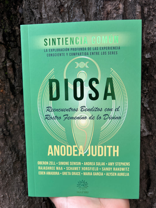 DIOSA Anodea Judith